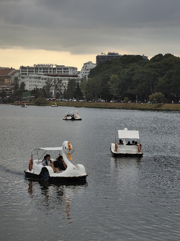 This image depicts a segment of Xuan Huong Lake in Da Lat, Vietnam, under a heavily overcast sky. The foreground and midground feature several pedal boats on the water, while the background displays the city's shoreline with buildings and dense foliage.
In the foreground, a white swan-shaped pedal boat with an orange beak and a white canopy moves diagonally from left to right. Two individuals are seated inside, facing forward, appearing to pedal. An orange lifebuoy is attached to the left side of the boat. To the mid-right, a white standard pedal boat with a white canopy travels away from the viewer; at least three individuals are visible inside, and two orange lifebuoys are affixed to its sides. Further back, near the center, another white swan-shaped pedal boat with multiple occupants is present. Two smaller, light-colored boats are also discernible closer to the left and central shorelines. All visible boats generate minor wakes on the calm water surface.
The background shoreline comprises urban development and natural elements. Along the left and central shore, multiple buildings are visible, including a large white structure with "ANA MANDARA HOTEL DALAT" inscribed on its roofline. A paved road parallels the lake, populated with parked cars and motorbikes, and a few pedestrians are visible on an adjacent pathway. The right side of the background is characterized by a dense stand of dark green evergreen trees, with parts of buildings visible above the canopy. The sky is dark grey with a lighter, yellowish-grey band visible along the horizon, suggesting a late afternoon or early evening setting.