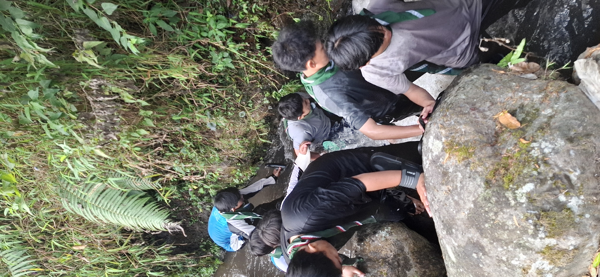 In Puntukrejo, Indonesia, a group of young people, likely scouts based on their green and white neckerchiefs, navigate a shallow stream flowing through a rocky, wooded area. The water is clear and appears to be moving gently over submerged stones and sandy bottom. The surrounding environment is lush and green, with dense vegetation, including ferns and other leafy plants, growing on the embankment. Sunlight filters through the trees, creating dappled light on the water and the individuals. The people are dressed in casual clothing, some of which is damp from the water, suggesting they are actively participating in an outdoor activity such as a nature walk or a camping excursion. Their expressions are neutral, focused on the task of traversing the stream. The overall scene depicts a common outdoor adventure in a natural setting.