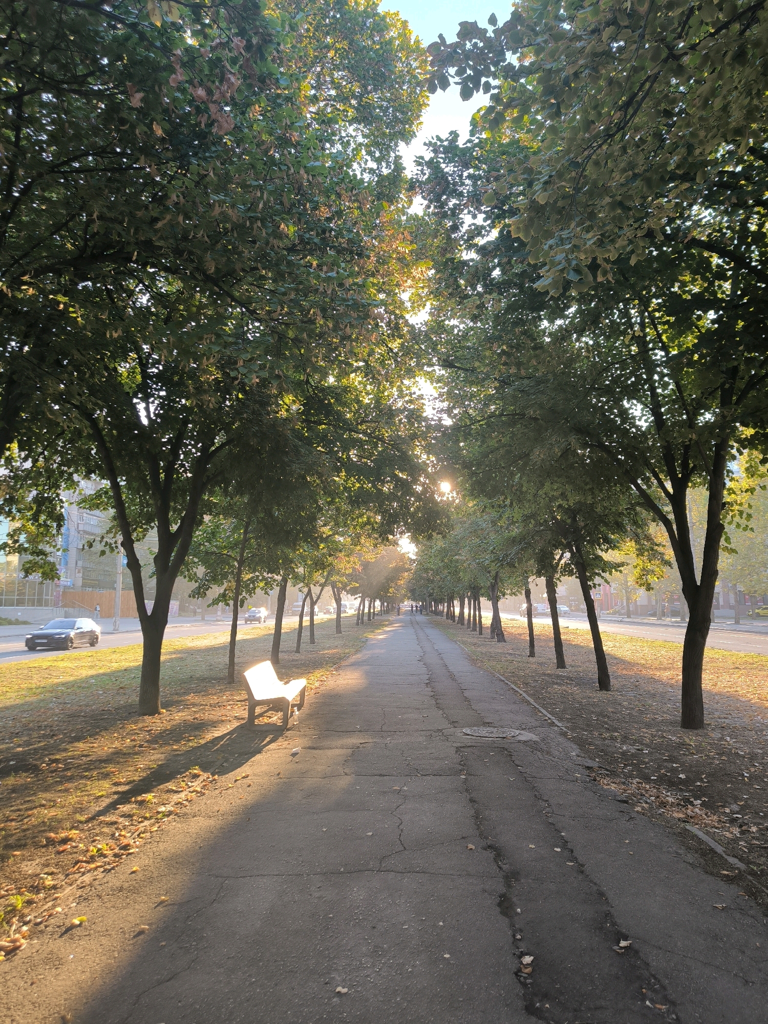 This is a photograph taken on a sunny day in Mykolaiv, Ukraine, likely in the early morning or late afternoon given the low angle of the sun. The scene depicts a tree-lined pedestrian walkway bordering a street. The walkway is paved with asphalt, showing some signs of wear and tear, including cracks and a manhole cover. On the left side of the walkway, there is a grassy area with scattered fallen leaves, and a single white bench bathed in sunlight. Beyond this grassy area and a line of trees, a street is visible with cars driving on it. Buildings can be seen on the far side of the street. The trees lining the walkway are in full leaf, with some showing hints of autumnal color. The sun is shining through the trees, creating dappled light and long shadows. The overall atmosphere is peaceful and serene, suggesting a typical urban park or boulevard.