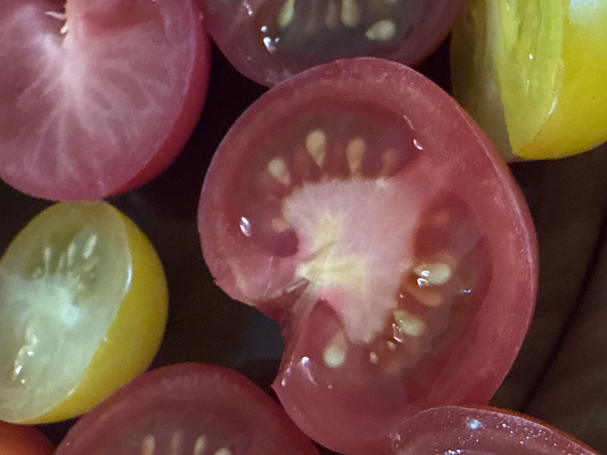 This is a close-up, overhead shot of several sliced tomatoes. The tomatoes are various colors, including red, yellow, and a dark reddish-purple. The slices reveal the inner flesh and seeds of the tomatoes. Some of the red slices show prominent yellow-white interiors with visible seeds. The yellow slices have a lighter, more uniformly colored interior. The dark reddish-purple slice appears to have a denser, less segmented interior. The tomatoes are arranged on a dark surface, likely a bowl or cutting board. The lighting creates highlights on the glossy surfaces of the tomatoes. There are no people or identifiable landmarks visible, and the image does not provide any information about its location in Obukhivka, Ukraine.