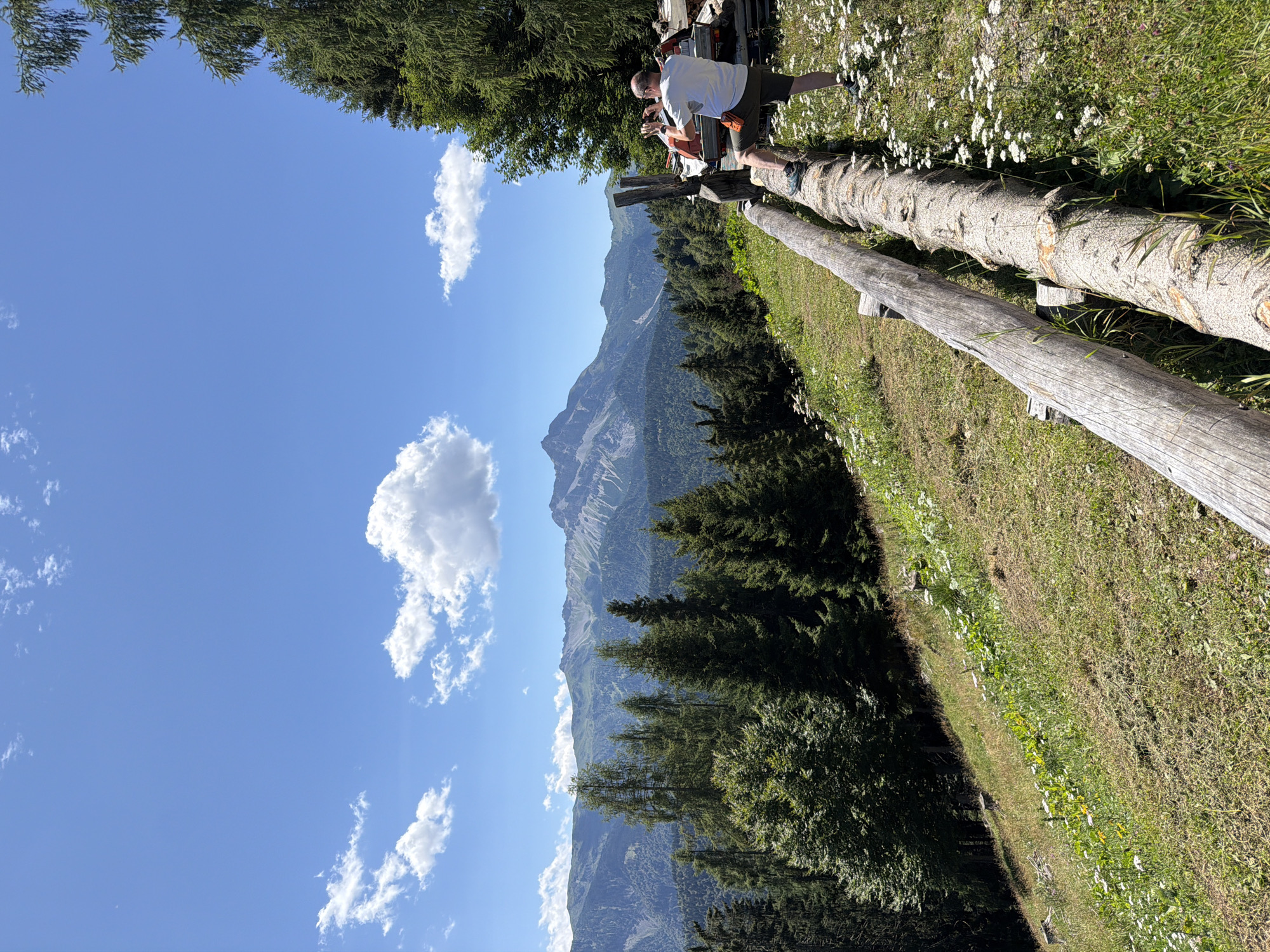 In a mountainous landscape with a clear blue sky and scattered white clouds, a man is standing on a fallen log, holding a phone up to take a picture. He is wearing a white t-shirt and khaki shorts. The log he is standing on is part of a rustic wooden barrier running along a grassy slope. In the background, there are numerous evergreen trees and a distant mountain range. To the right of the man, there is a trailer with some items stacked on it, and beyond that, more trees. The area is dotted with small white wildflowers. The scene appears to be in a rural, natural setting.