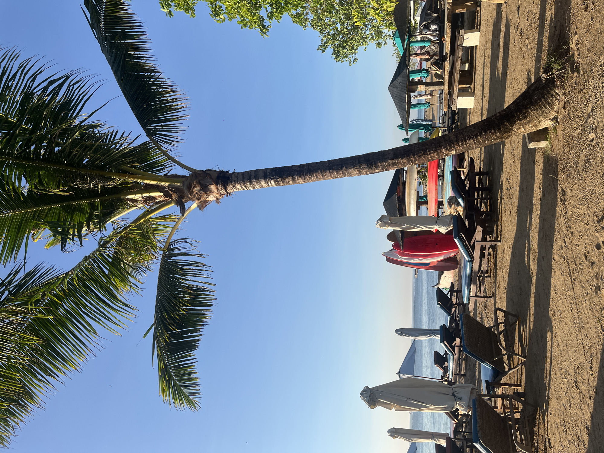 A close-up, vertical shot depicts a sandy beach area, possibly in Denpasar, Indonesia, with a palm tree dominating the foreground. The tree trunk is rough and textured, leaning towards the right. In the background, several lounge chairs are arranged on the sand, some with blue cushions. Folded umbrellas are situated behind the chairs, and a few kayaks or surfboards are propped up against a structure. The calm ocean is visible beyond the beach furniture, meeting a clear blue sky. A few green trees can be seen on the right side of the image. The lighting suggests it is either early morning or late afternoon, casting long shadows across the sand. No people are visible in the frame.