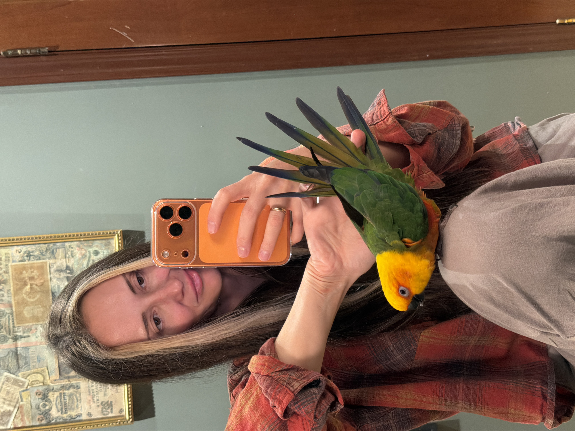 An indoor mirror selfie captures a woman and a parrot in Khimki, Russia. The image is a reflection showing the upper body of a woman with long, straight, dark hair featuring prominent blonde highlights. She is wearing a plaid shirt with red, orange, and brown tones, and possibly another light-colored garment underneath. Her expression is neutral, and she is holding an orange-colored smartphone with a multi-lens camera visible, indicating she is taking the photograph.
Perched on her right shoulder and neck area is a small parrot, likely a Sun Conure, with a bright yellow head, an orange blush around its eyes, and vibrant green and blue feathers on its body and wings. The parrot appears calm and is looking towards the phone or camera.
The background, visible in the mirror's reflection, consists of a plain light blue-green wall with a wooden border running across the top. The wooden border has a few visible scratches. To the left of the woman, a gold-framed piece of art or document is reflected, containing what appears to be old, intricate papers or currency with faint, illegible text and imagery. The overall lighting suggests an indoor setting, possibly with natural light or well-lit artificial illumination.