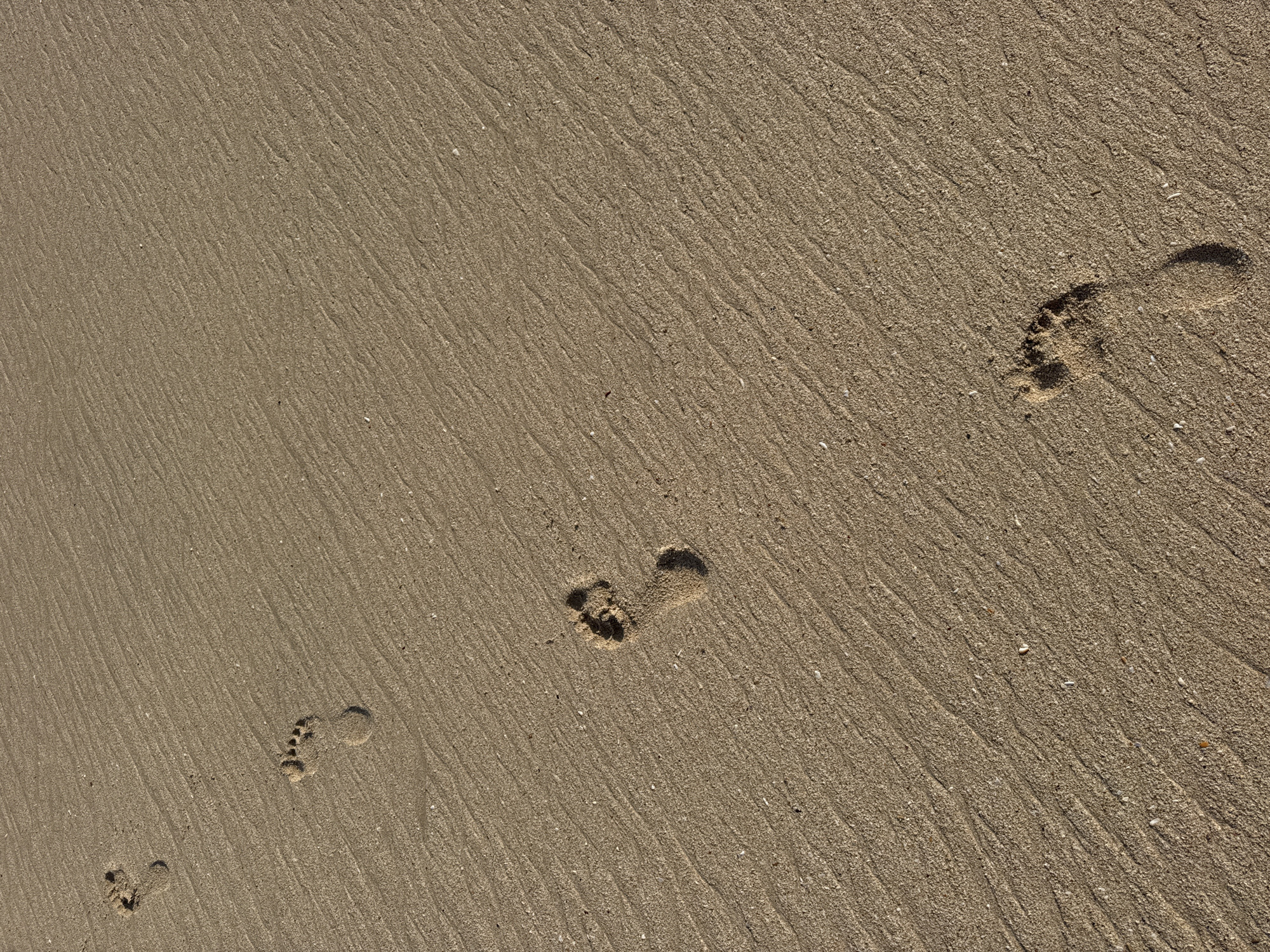 The image shows footprints on wet sand. The sand is light brown in color and has a rippled texture from the receding tide. There are three distinct footprints visible, receding from the top right corner to the bottom left of the frame. The location is inferred to be the city of Kuta Selatan, Indonesia.