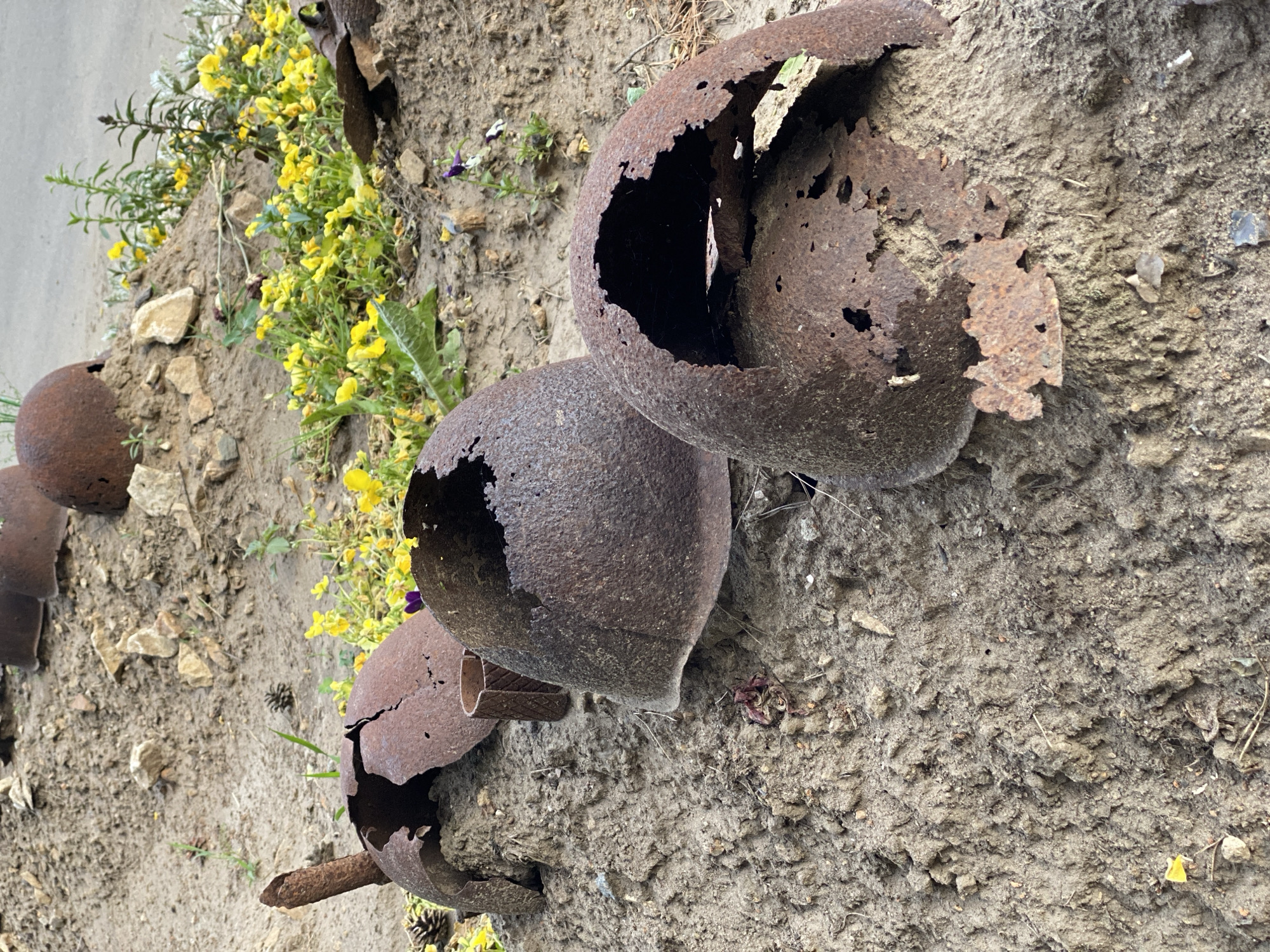 The image displays a collection of severely rusted and damaged military helmets lying on a patch of dry, sandy soil interspersed with small rocks and sparse vegetation. The helmets appear to be historical artifacts, broken and decayed from exposure to the elements over time. Some helmets are fragmented, with large sections missing, revealing their hollow interiors and the effects of corrosion. Small yellow wildflowers and a few purple pansies are growing among the helmets and on the surrounding earth, contrasting with the somber appearance of the relics. In the background, more similar helmets are visible, partially obscured by the terrain and foliage, suggesting a memorial or a site where discarded military equipment was left. The overall scene conveys a sense of neglect and the passage of time, likely commemorating a historical event or conflict. The location is identified as Волковское, Russia.
