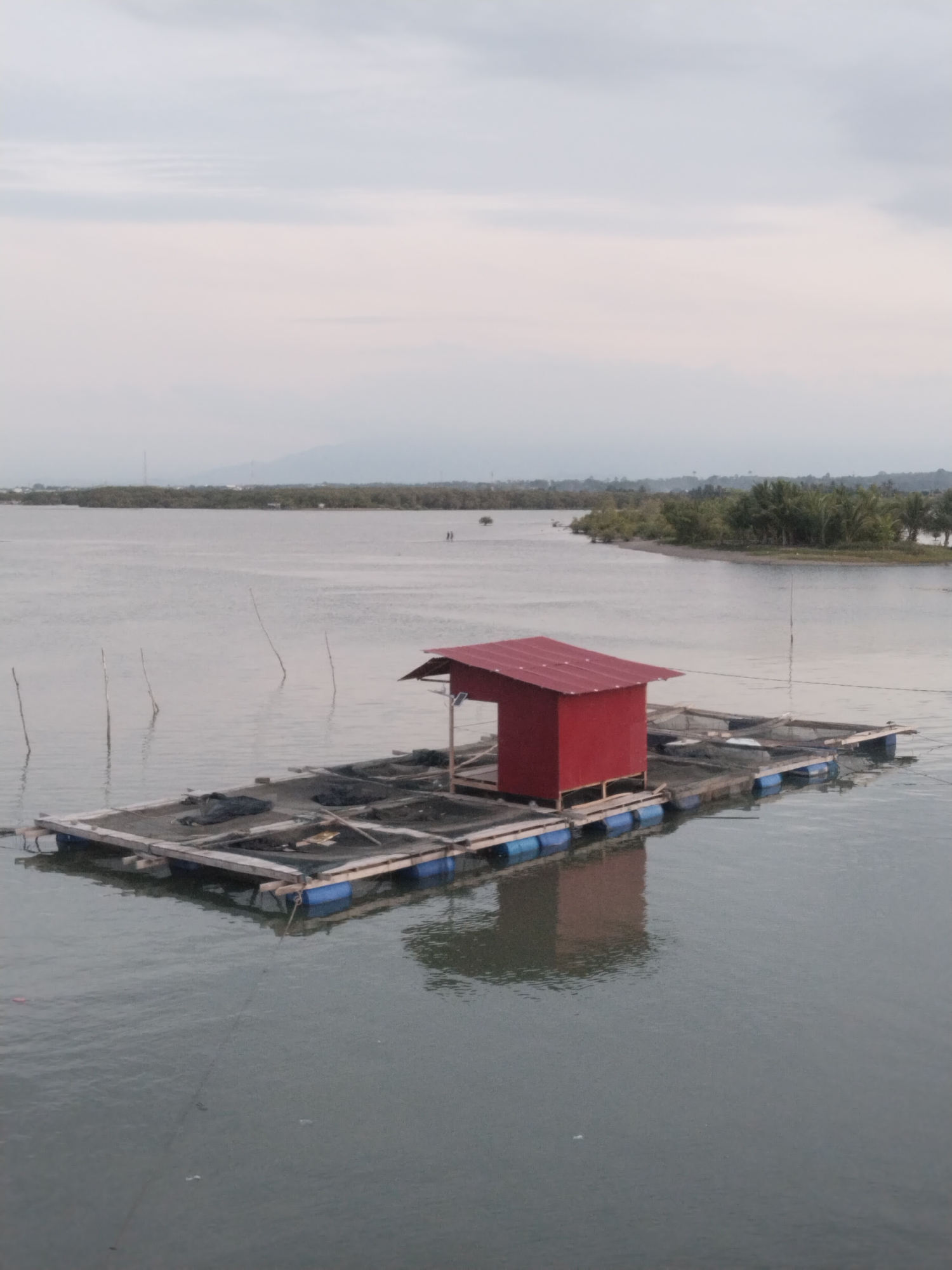 The image depicts a floating fish farm structure in the city of Lhokseumawe, Indonesia. The structure consists of a platform supported by blue plastic barrels, with several netted enclosures likely used for raising fish. A small, red, shed-like structure with a red roof is built on one end of the platform. The platform is situated in a body of water, with wooden poles extending above the water surface nearby. In the background, there is a shoreline with dense vegetation and what appears to be a distant mountain range under a cloudy sky. The water is calm and reflects the structure and sky.