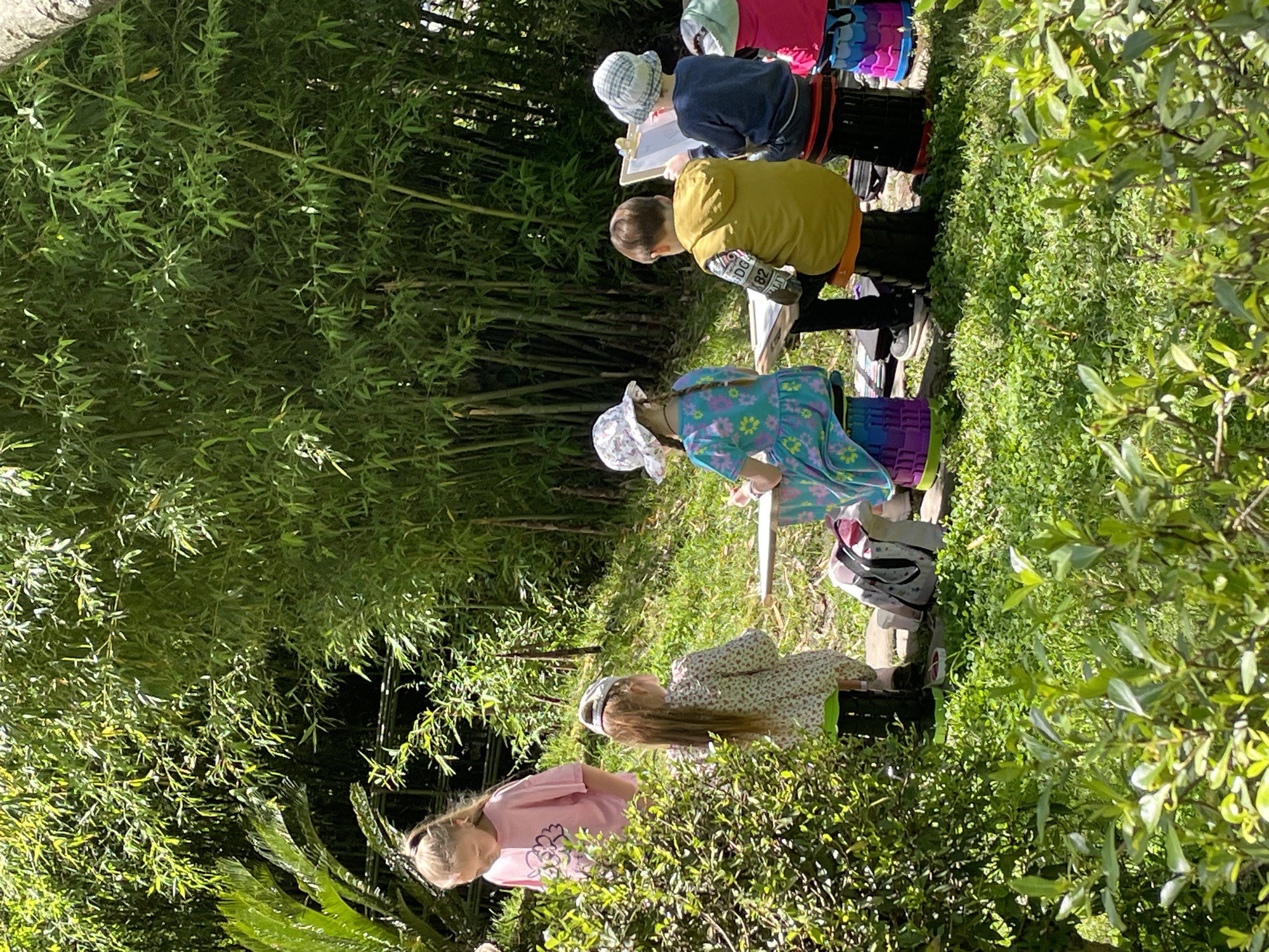 Several children are gathered outdoors in a lush, green environment, appearing to be engaged in an art or nature study activity. The image is taken from a slightly elevated perspective, looking down at the children as they sit or kneel in a row, facing away from the camera.
Approximately six children are visible. The children are seen from behind or in profile, dressed in casual attire including dresses, t-shirts, and jackets, some wearing sun hats. Most are holding drawing boards or clipboards, intently focused on what they are observing or sketching. They have backpacks in various colors (pink, blue, purple, black, grey) placed beside them. One child in a yellow jacket has a water bottle with faint text "DGL 82" or similar. Another child's backpack shows partially visible text that could be "RIDGE" or "RIDGEWA...".
The setting is a vibrant natural landscape dominated by dense bamboo stalks and foliage on the left and in the background, creating a tall, green wall. The foreground and right side feature thick, bushy green plants and a patch of grass where the children are positioned. The bright sunlight indicates it is daytime, likely late morning or afternoon, casting clear light on the scene. The weather appears sunny and pleasant, ideal for outdoor activities. The lush vegetation, particularly the bamboo, aligns with the subtropical climate found in Sochi, Russia. The overall atmosphere suggests a focused, educational, and creative outdoor experience.