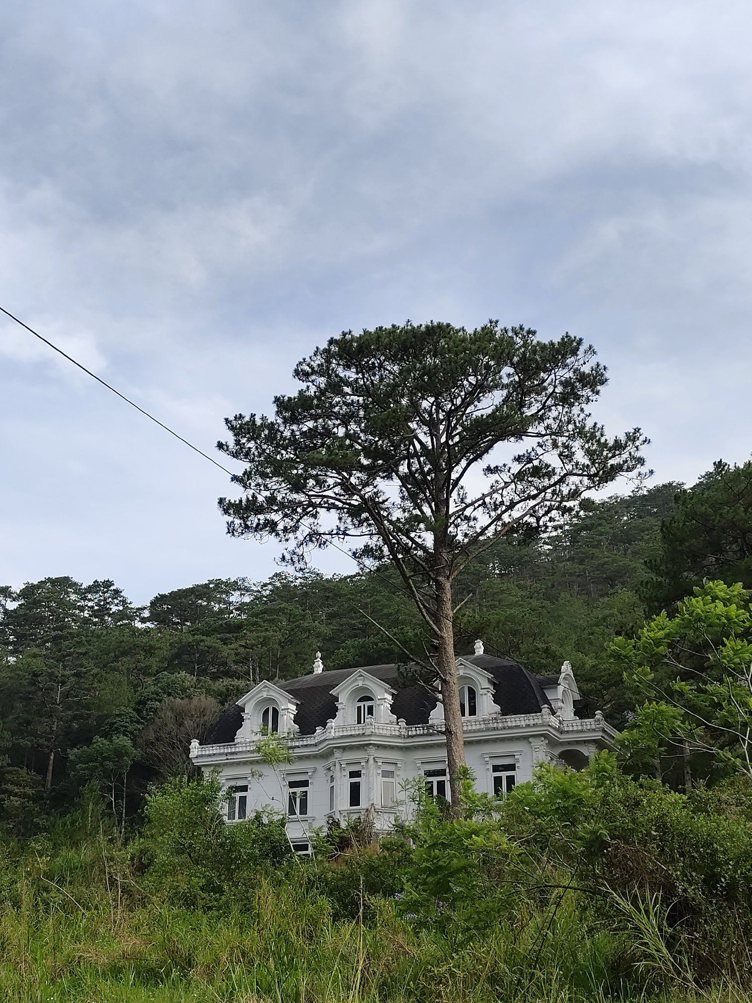 A low-angle medium shot shows a large, white building in a forest-like setting. The building is a grand, multi-story structure with black roofs and multiple arched windows. It is partially obscured by lush green vegetation and a large, mature pine tree. The building is located on an incline. Dense trees and foliage form the backdrop. The sky is overcast with grey clouds. The location is Da Lat, Vietnam. A single black wire is visible in the sky, extending from left to right.