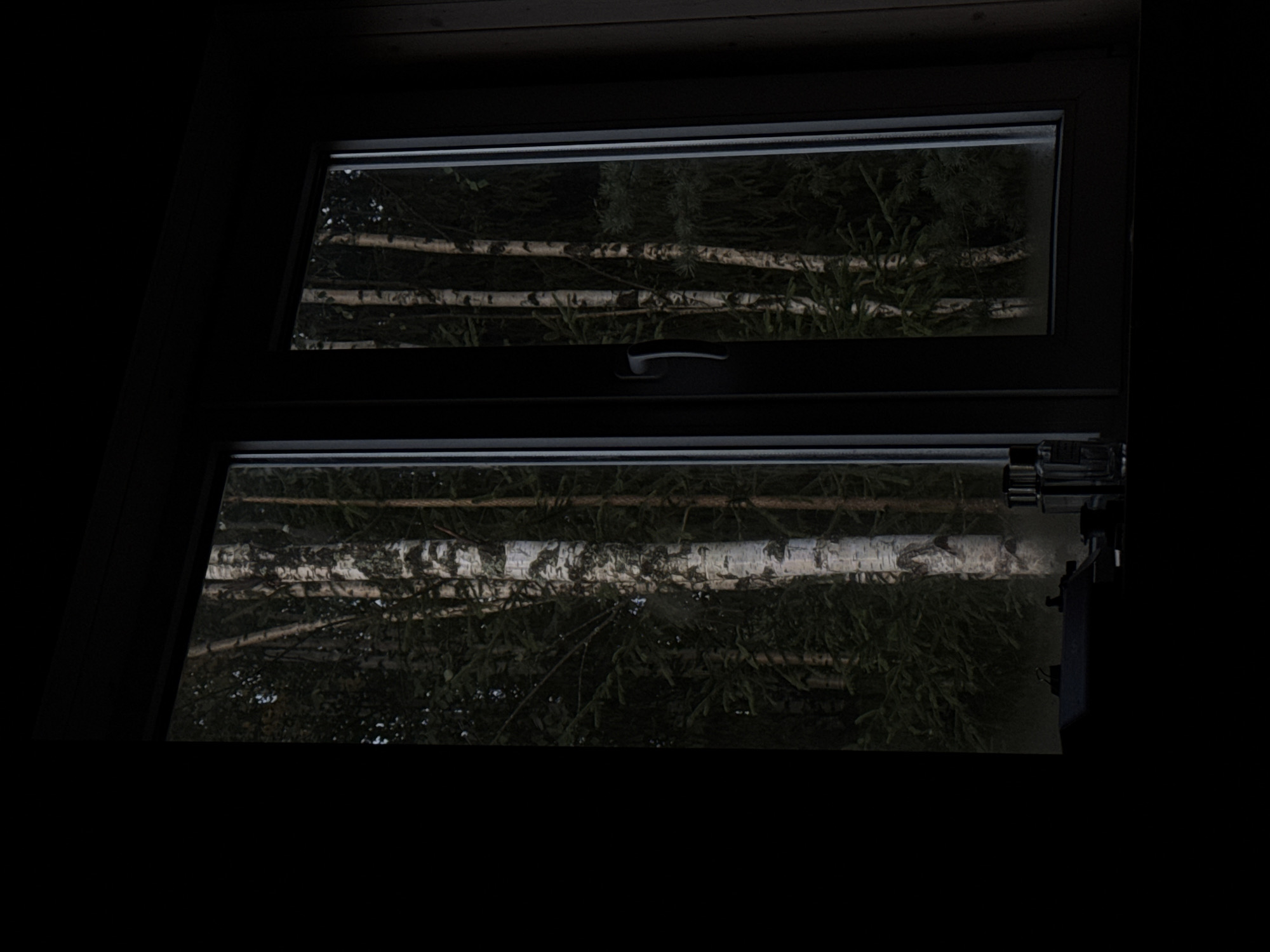 The image shows a dark interior looking out a window at a forest. The window is divided into two panes, with the left pane showing a close-up of birch trees and the right pane showing more of the forest with some pine trees. In the foreground, on the windowsill, are a few dark objects that appear to be a vintage typewriter and two glass bottles, possibly perfume bottles. The environment outside the window is a dense forest with prominent white birch trees. The lighting is dim, suggesting it is either early morning, late evening, or an overcast day. There are no people visible in the image. The scene appears to be a residential interior looking out onto a natural wooded area.