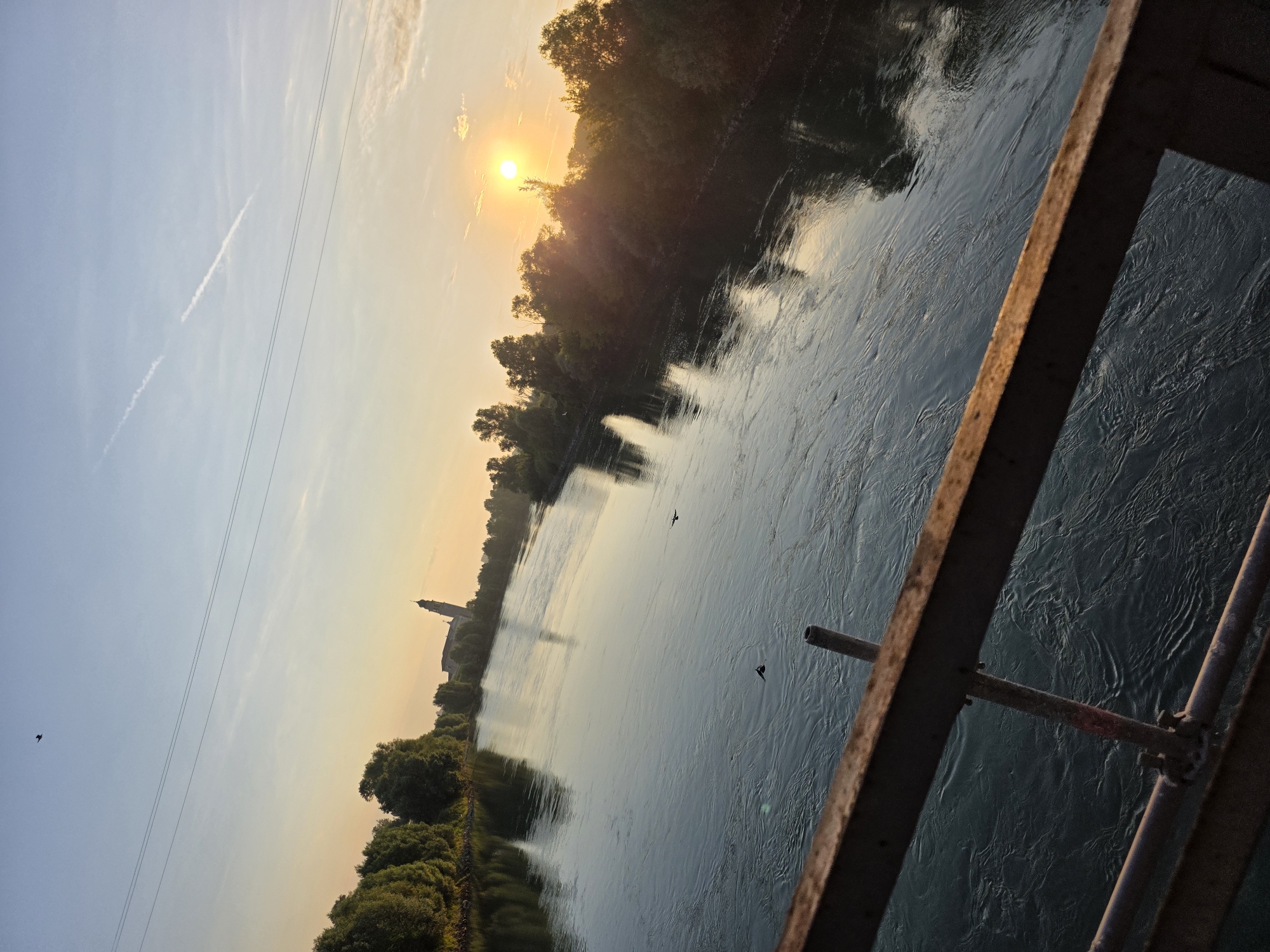 The image depicts a tranquil river scene at sunset, likely from a bridge in Boara Pisani, Italy. The sun, a bright orb, is setting on the right side of the frame, casting a warm glow across the sky and reflecting on the rippling water. Trees line the riverbanks, creating a lush, green border. In the distance, a tall, slender building, possibly a church tower or monument, is silhouetted against the sunset. The sky is a gradient of soft blues and oranges, with a faint contrail from an aircraft visible. Two birds are seen flying over the river, adding a sense of movement to the otherwise still landscape. The foreground of the image is dominated by the rustic metal railing of a bridge, providing a clear viewpoint of the scene. The water's surface is disturbed by gentle currents, with reflections of the trees and sky visible.