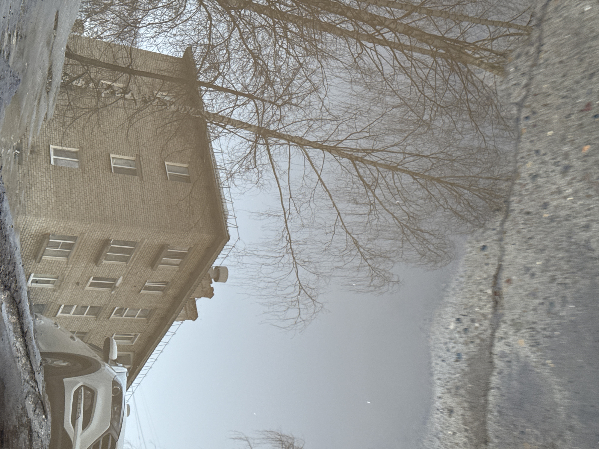 The image depicts a reflection in a puddle, likely taken in the city of Chaikovsky, Russia, as that was the location associated with the request. The reflection includes a brick building with multiple windows, leafless trees, a portion of a car (likely a white or light-colored vehicle), and the texture of a road or sidewalk. The overall tone is muted, with shades of gray and brown dominating the scene. The reflection suggests a damp or wet environment.