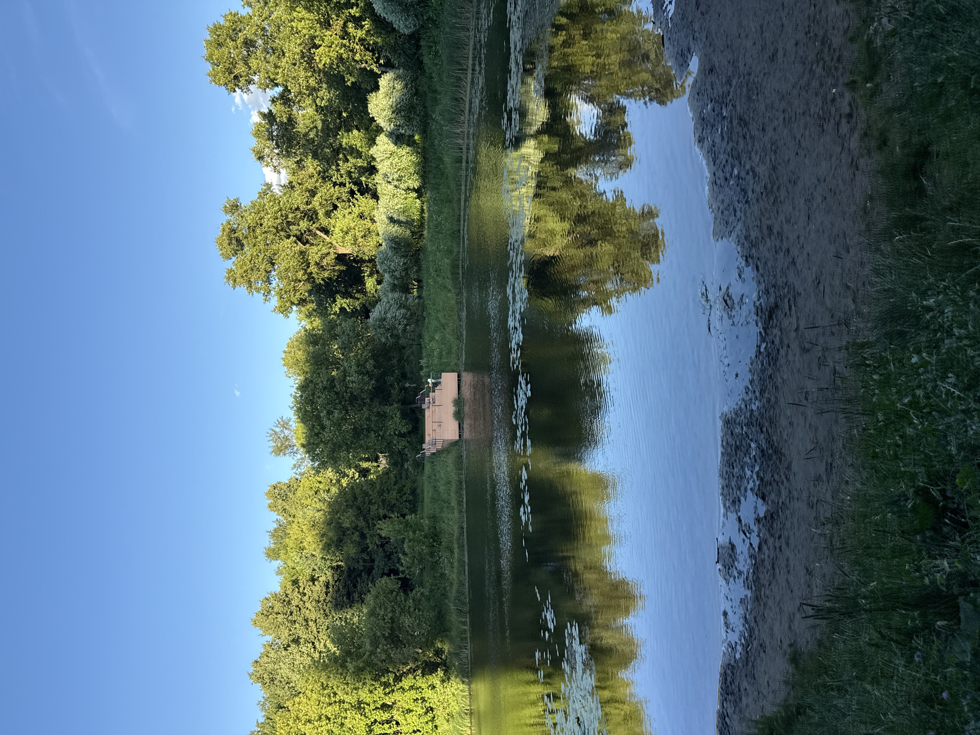 The image depicts a scenic view of a calm body of water, likely a river or lake, in Moscow, Russia. Lush green trees line the bank on the left side of the frame, their reflections shimmering on the water's surface. A small wooden platform or dock is visible on the bank, jutting out slightly over the water, with a couple of chairs on it. The water itself is calm, with some lily pads floating on it, and the reflections of the trees create a mirror-like effect. The right side of the frame shows a sandy bank with some vegetation growing along its edge. The sky is a clear, bright blue, suggesting a pleasant day. The lighting indicates it is likely late afternoon or early evening, with the sun casting a warm glow on the scene. The overall mood is peaceful and serene, capturing a tranquil moment in nature. No text is visible in the image.