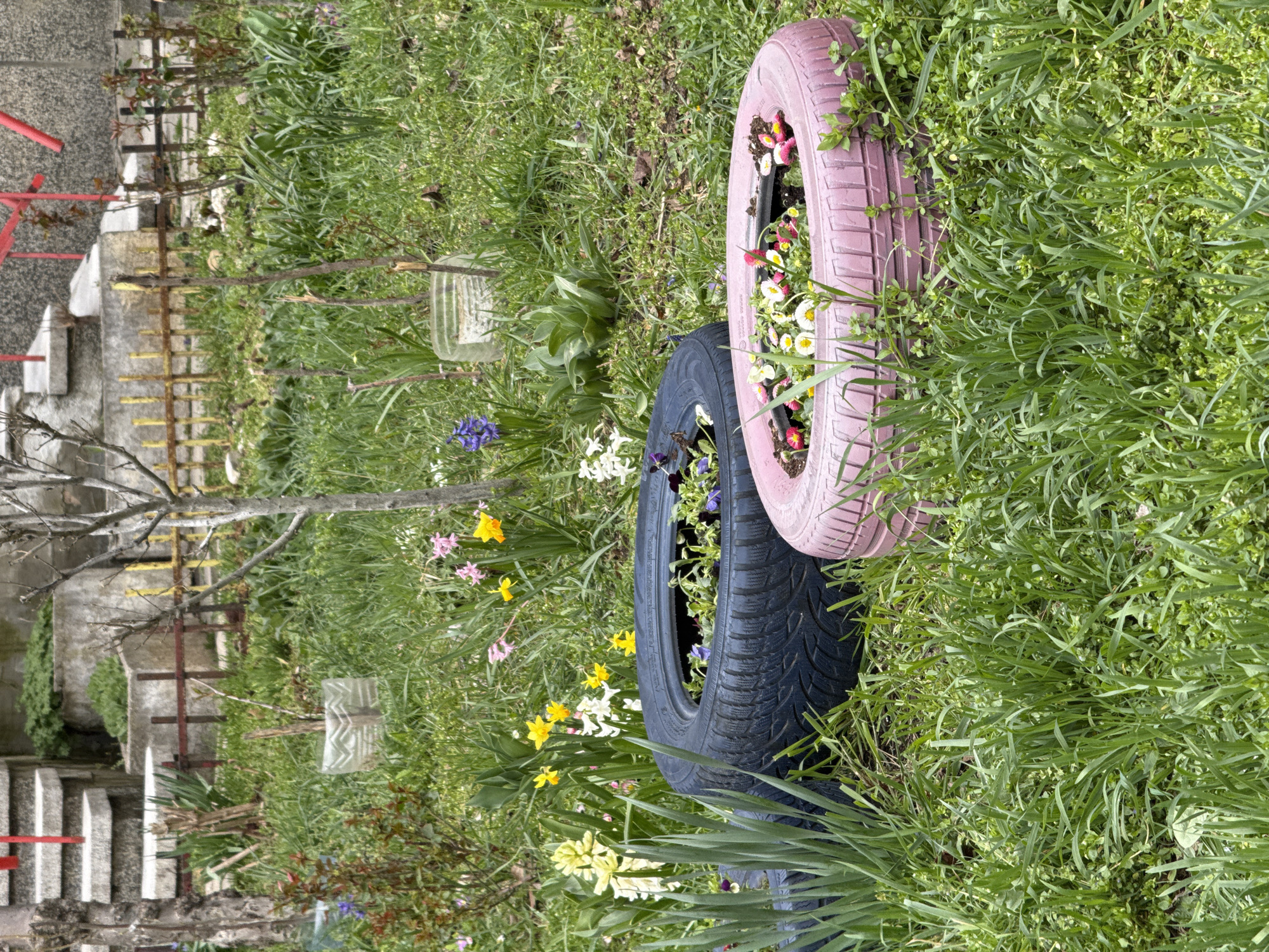 The image shows a grassy area with two tires painted pink and black used as planters, filled with small flowers. In the background is a staircase and a fence. The location is inferred to be in Sofia, Bulgaria. No people are visible.