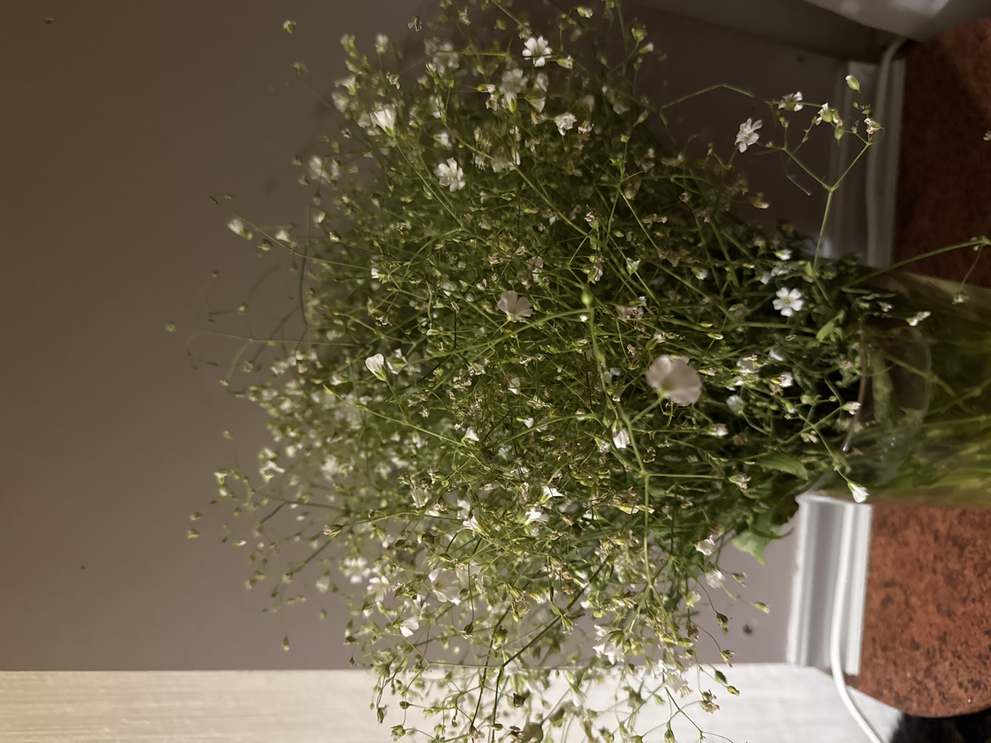 A bouquet of baby's breath flowers is displayed in a clear glass vase. The flowers are predominantly white with some dried brown buds interspersed throughout the arrangement. The vase rests on a textured reddish-brown surface. In the background, a wall painted a muted taupe color is visible, with a portion of a white wall or molding to the left. A white cord is present in the lower left quadrant of the image. The lighting suggests an indoor setting, possibly a dimly lit room. The image appears to be a still life composition.