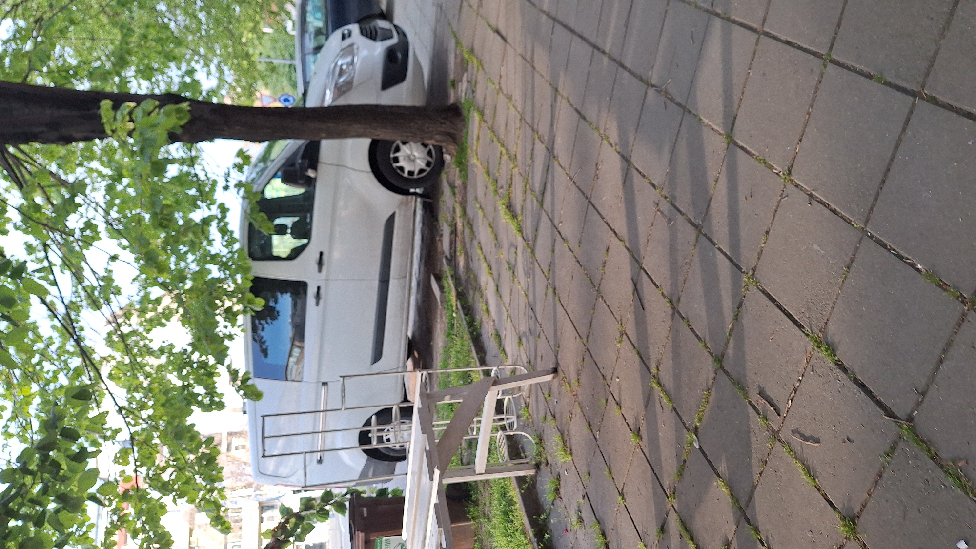 The image depicts an outdoor urban scene, likely in Blagoevgrad, Bulgaria, under bright, sunny conditions, possibly during the morning or late afternoon given the long, distinct shadows cast. The primary subjects include a white commercial or utility van parked on a street, partially obscured by a large tree with abundant green foliage.
The tree dominates the left side of the frame with its thick trunk and canopy of vibrant green leaves. To the right of the van is a sidewalk paved with square, grey concrete slabs. Patches of green grass and weeds grow visibly in the cracks between the paving stones.
In the lower foreground, a white metal bench is partially visible, positioned on a patch of dirt or unpaved ground next to the sidewalk. Long shadows, likely from the tree and the bench, stretch across the tiled pavement. In the background, beyond the white van, another darker vehicle is partially visible, and indistinct building facades suggest a bustling urban environment.
There is no discernible activity taking place; the scene appears static. A small green sign is visible near the base of the bench, featuring some Cyrillic text, but it is too small and blurry to be deciphered clearly.