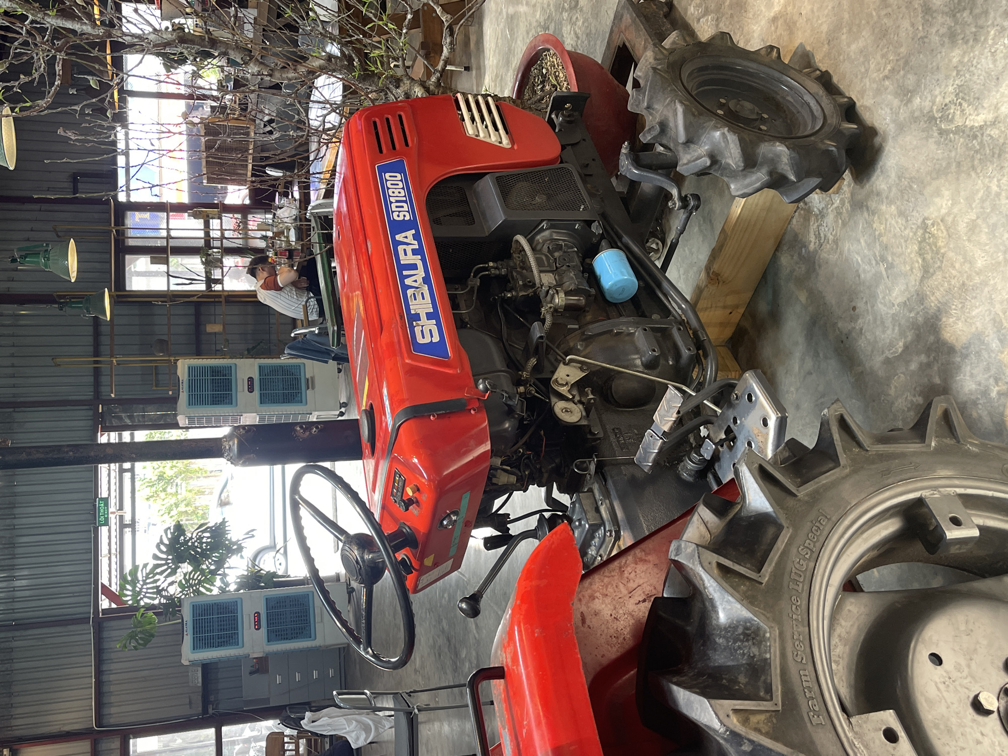 The image shows a red Shibaura SD1800 tractor indoors on a concrete floor. The tractor is parked near a large window showing the outside. A person is visible seated near the window. The building appears to be a cafe or shop. The scene is likely in Da Lat, Vietnam.