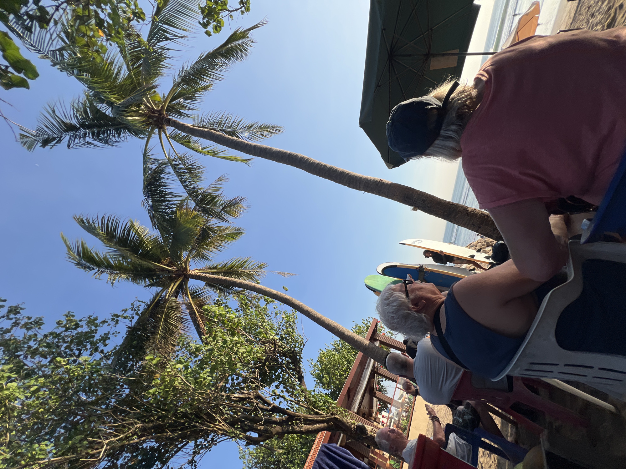 The image depicts a beach scene in Kuta, Indonesia, likely during the late afternoon given the lighting. Several people are seated on chairs on the sand, facing the ocean. Two palm trees dominate the foreground, with their fronds reaching towards a clear blue sky. In the middle ground, there is a small beachfront establishment with a thatched roof, and several surfboards are propped up against a wall. The ocean is visible in the distance with gentle waves. The focus is on the people enjoying the beach atmosphere, some appearing to be engaged in conversation. The overall mood is relaxed and casual.