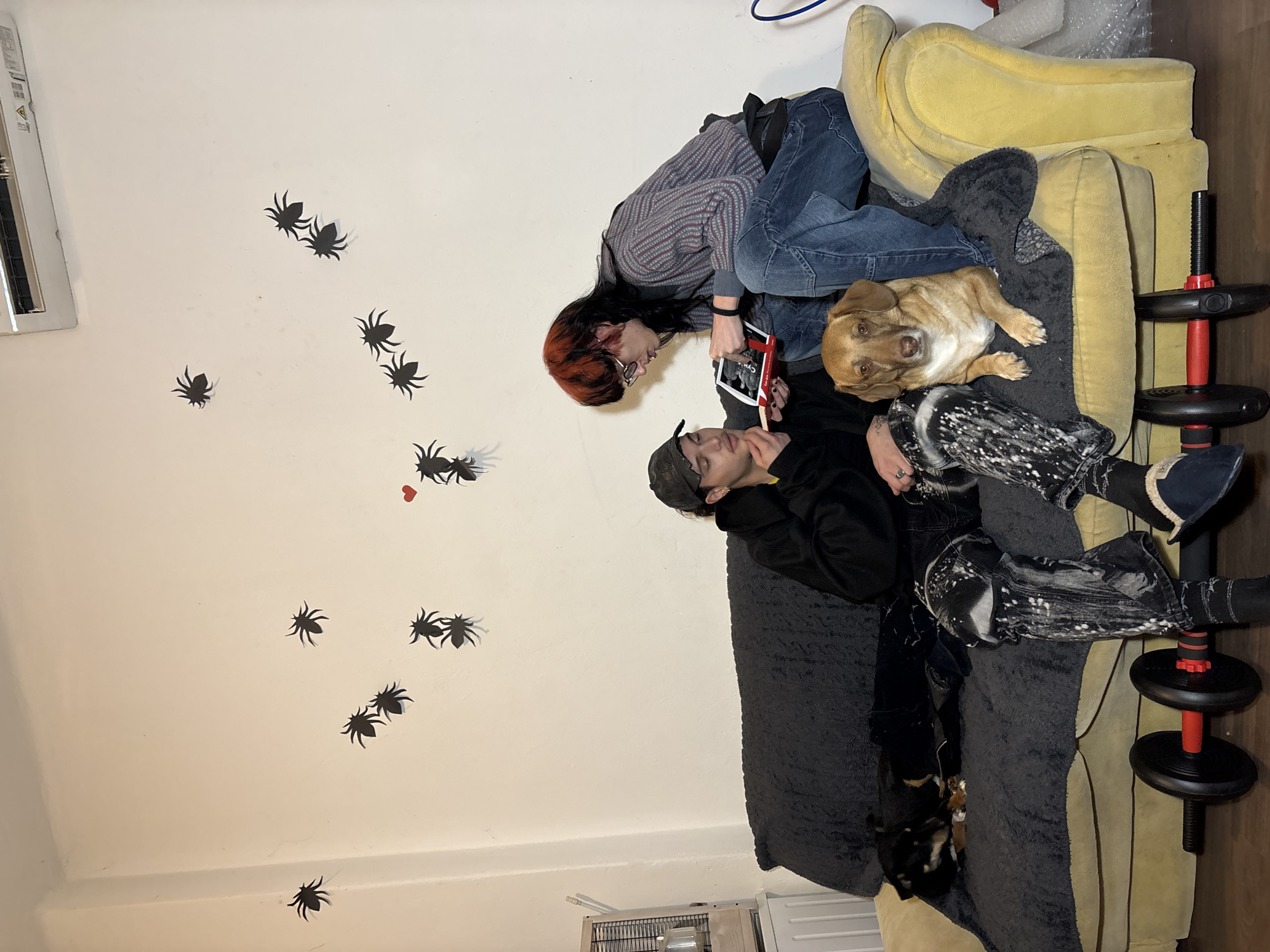 A rotated indoor shot depicts two individuals and two dogs on a yellow couch. One individual, with red-tinted dark hair, sits atop the couch, holding a book and facing a second person who reclines on the couch. A tan dog rests near the first person, while a smaller dog is partially concealed in the folds of a gray throw blanket. Weights are stacked near the edge of the couch. The room has white walls adorned with spider decals. An air conditioning unit is mounted high on the wall. A portable air conditioner is on the floor to the left of the couch. This scene is likely a private residence, but there is no information to indicate its location is in Sofia, Bulgaria.
