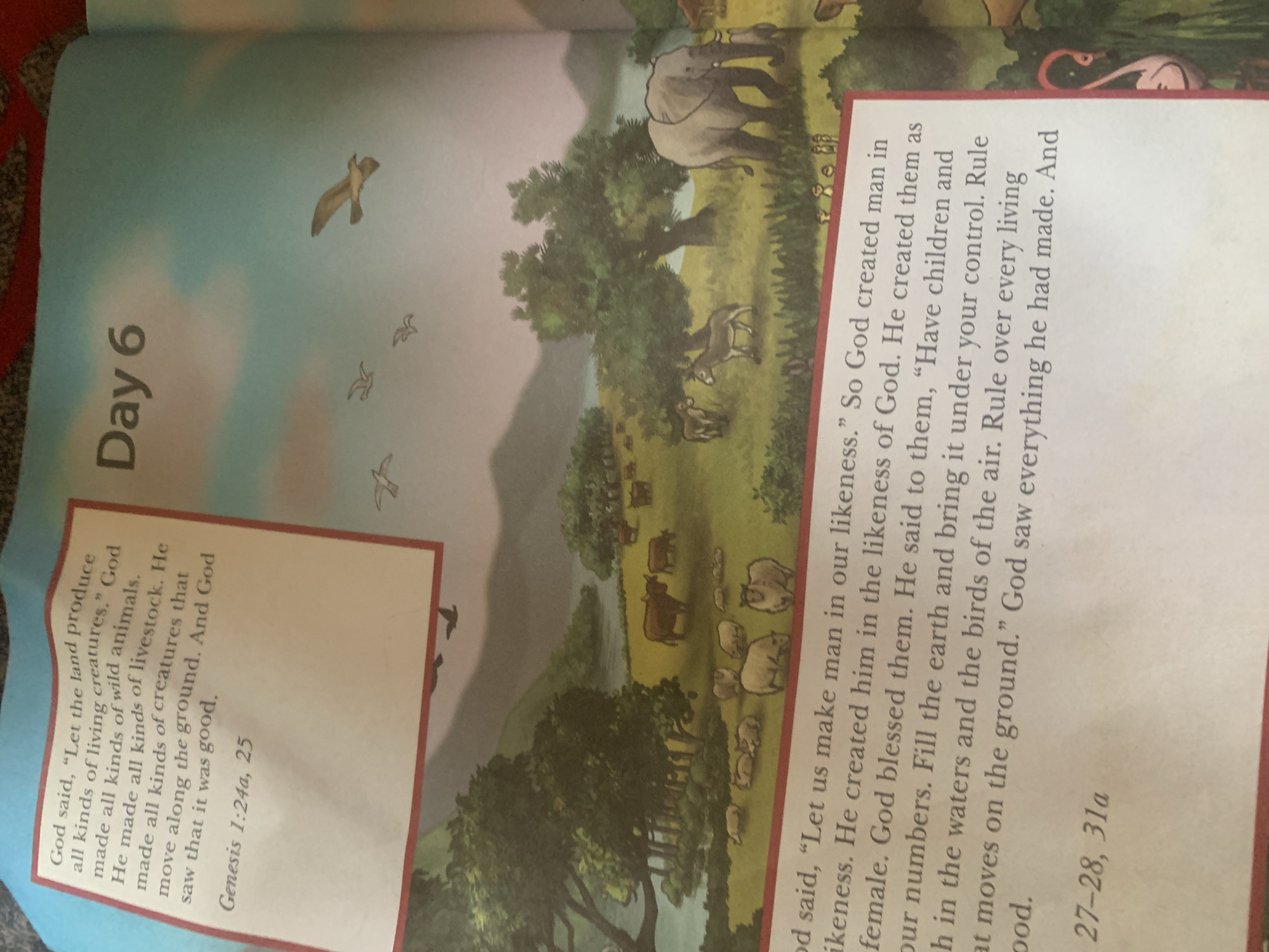 The image shows a page from a children's book depicting scenes of creation. The top left corner features text from Genesis 1:24a, 25, which describes God creating living creatures and livestock. The top right corner has the text "Day 6". The main part of the image is an illustration with a wide landscape. In the foreground, various animals are shown grazing and walking, including sheep, cows, donkeys, and an elephant. A body of water and trees are visible in the background, with mountains further beyond. Birds are depicted flying in the sky. The bottom section of the page contains more text from Genesis, specifically Genesis 1:27-28, 31a, which describes the creation of man and woman and God's blessing upon them. A pink flamingo is partially visible on the far right edge of the image. There is no discernible connection to Jauro Yinu, Nigeria, in the provided image or its text.