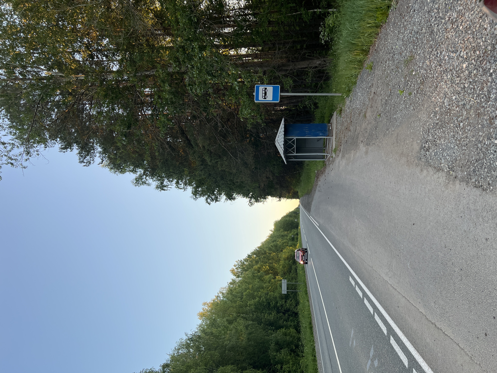 The image captures a tranquil rural road scene in Банное, Russia, likely during the late afternoon or early evening. A two-lane asphalt road extends into the distance, marked by a continuous white line on the right edge and a broken white line indicating the left lane. A red car, possibly an SUV or minivan, is seen driving away in the distance.
On the left side of the road, nestled amidst lush green trees, is a small bus stop. It features a basic shelter with a blue corrugated metal roof and gray side panels. A blue rectangular sign with a white graphic of a bus on it clearly marks the stop. Dense green foliage and tall trees line both sides of the road, suggesting a forested or heavily wooded area. The sky above is a clear, light blue, with a subtle warm glow on the horizon in the far distance, consistent with either sunrise or sunset lighting. The immediate right side of the road features a wide shoulder composed of light-colored gravel. No people are visible in the scene.