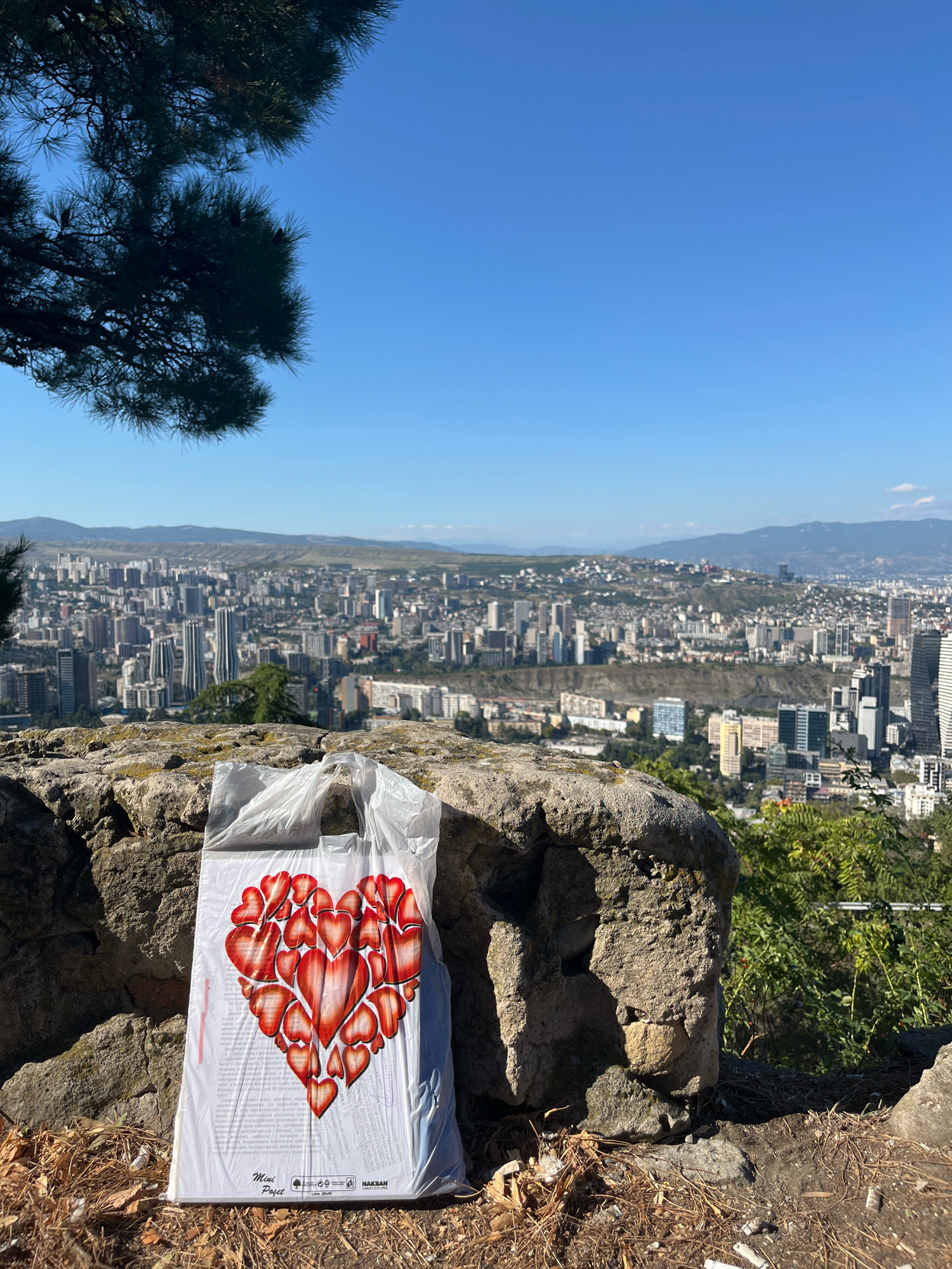 A clear, bright day in Tbilisi, Georgia, is depicted with a city panorama in the background. The foreground features a large, white plastic bag with a design of multiple red hearts forming a larger heart shape. The bag is placed on a rocky ledge, with dry leaves and twigs scattered around it. The rocky ledge is part of a vantage point overlooking the city, which stretches out with numerous buildings of various architectural styles. In the upper left corner, a portion of a dark green pine tree branches is visible against the bright blue sky. The background shows rolling hills and mountains under a clear sky, suggesting a location on an elevated part of the city, likely a park or viewpoint.