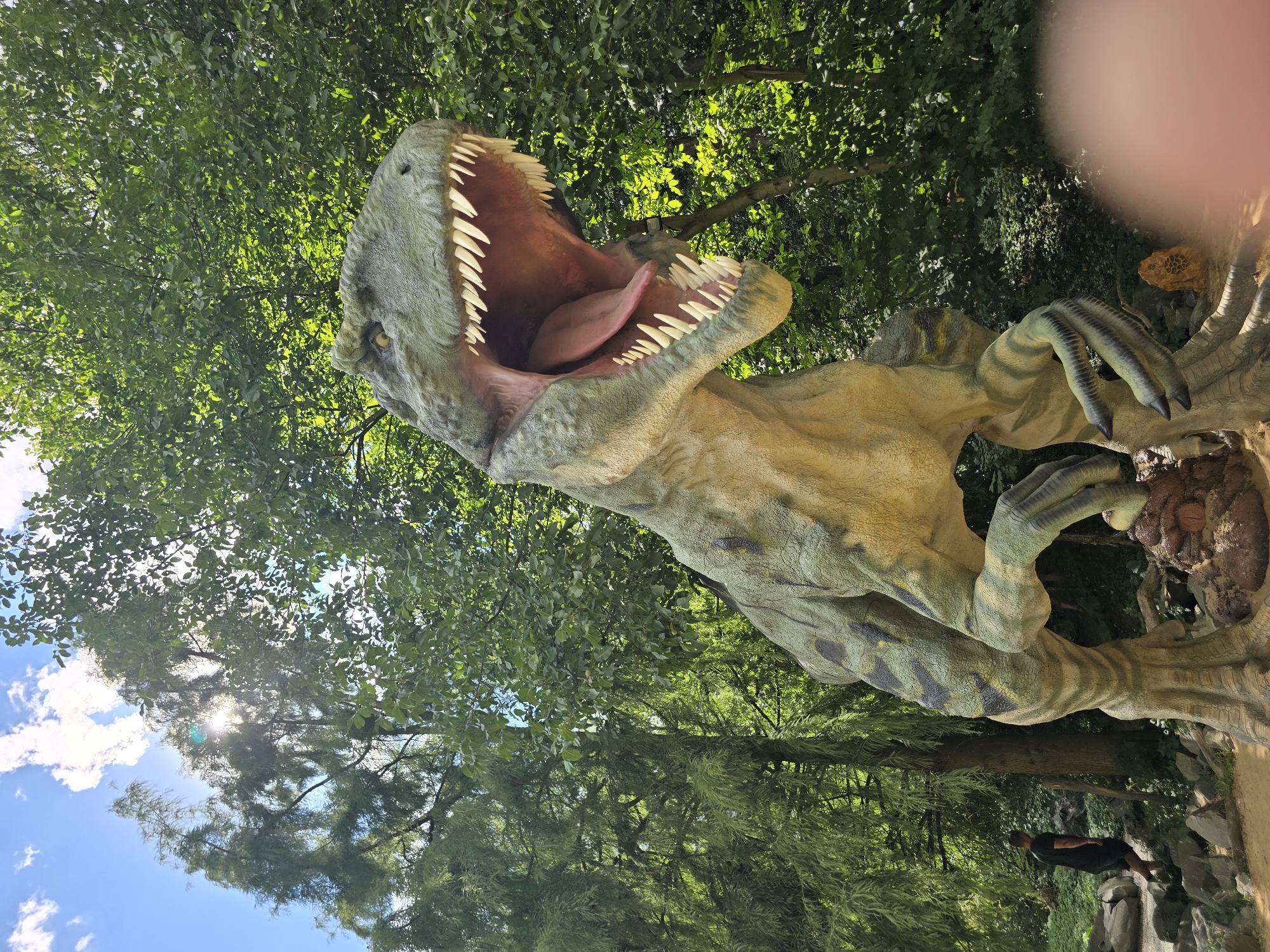 The image shows a large, realistic statue of a Tyrannosaurus Rex in a park setting. The dinosaur is positioned in the foreground, with its mouth open and tongue visible, revealing sharp teeth. Its skin is textured and colored in shades of green and brown, with dark stripes. The dinosaur is standing on a rocky base, surrounded by lush green trees and foliage. In the background, on the left side of the image, a person wearing a black t-shirt and shorts is walking away from the camera. The sky above is blue with white clouds and the sun is shining brightly, with some lens flare visible. The statue is located in DinoPark Vyškov, a dinosaur-themed park situated in the city of Vyškov, Czechia.