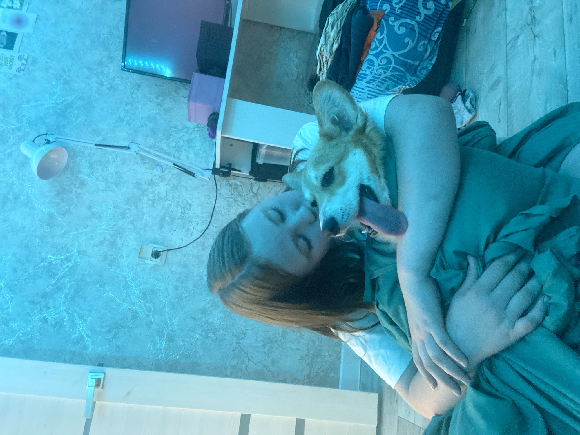 A woman is lying down with a corgi dog. The woman is fair-skinned with light brown hair and wearing a white t-shirt. The corgi is light brown and white, with its tongue hanging out. The woman is embracing the dog. They are lying on a green blanket. The background includes a white shelf unit, a blue patterned blanket, a lamp, a TV, and a wall with a textured pattern. The location is Chaikovsky, Russia.