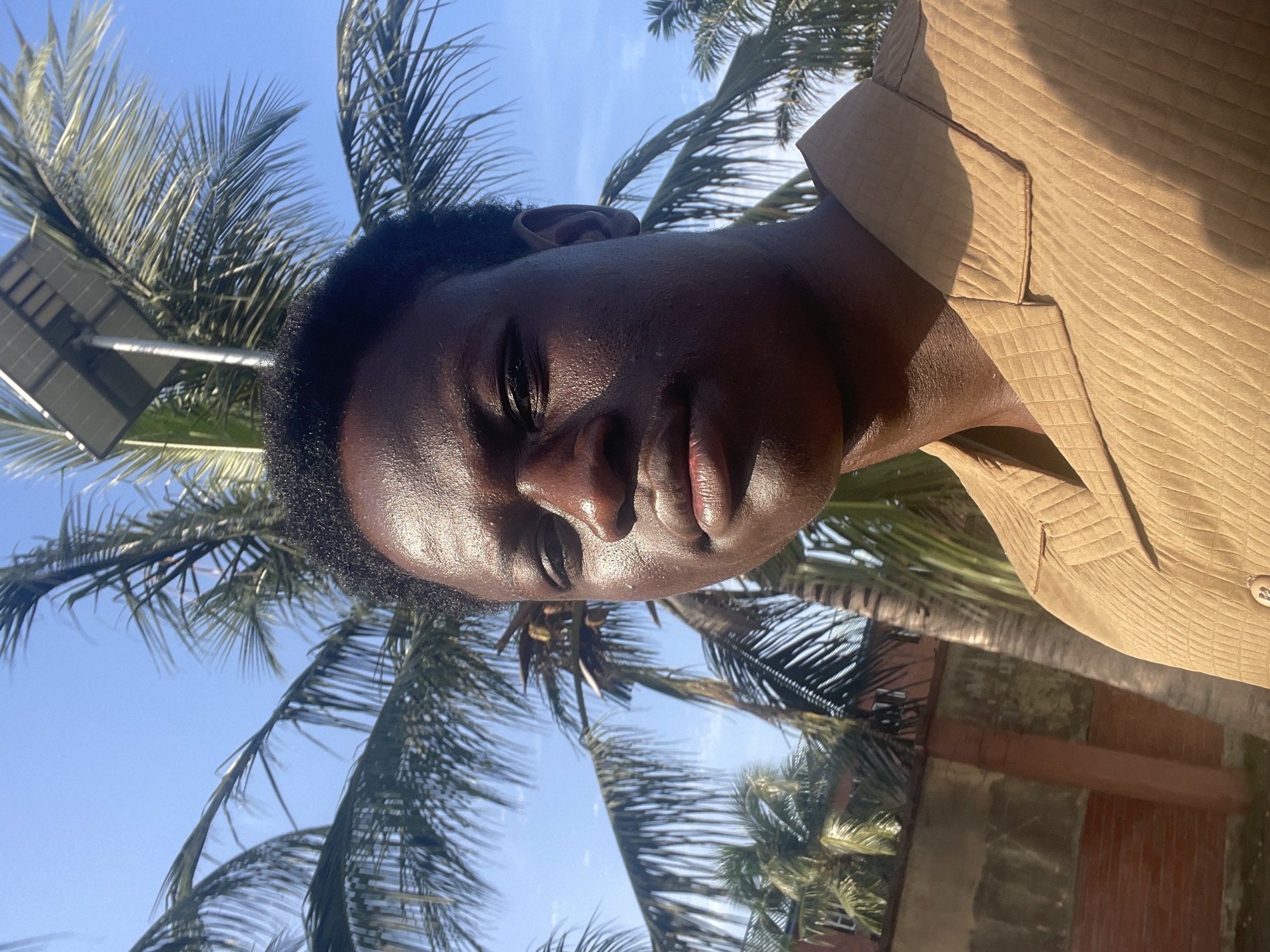 A close-up, slightly tilted portrait captures a person with a dark skin tone, looking directly at the viewer with a neutral to slightly serious expression. Strong, bright sunlight illuminates their face, creating prominent highlights on the forehead, nose, and lips, and causing a slight squint in their eyes. The individual is wearing a collared shirt in a light brown or tan color, featuring a distinct textured, possibly quilted, pattern.
The scene is set outdoors under a clear, vibrant blue sky, suggesting a bright and sunny day, likely during midday or early afternoon given the intensity of the light. Lush green palm fronds dominate the background, framing the subject. To the left of the person's head, part of a solar panel mounted on a pole is visible, indicating modern infrastructure in the natural setting. The overall atmosphere conveys warmth and a tropical or subtropical environment, consistent with the location context of Badagry, Nigeria. There is no visible text within the image.