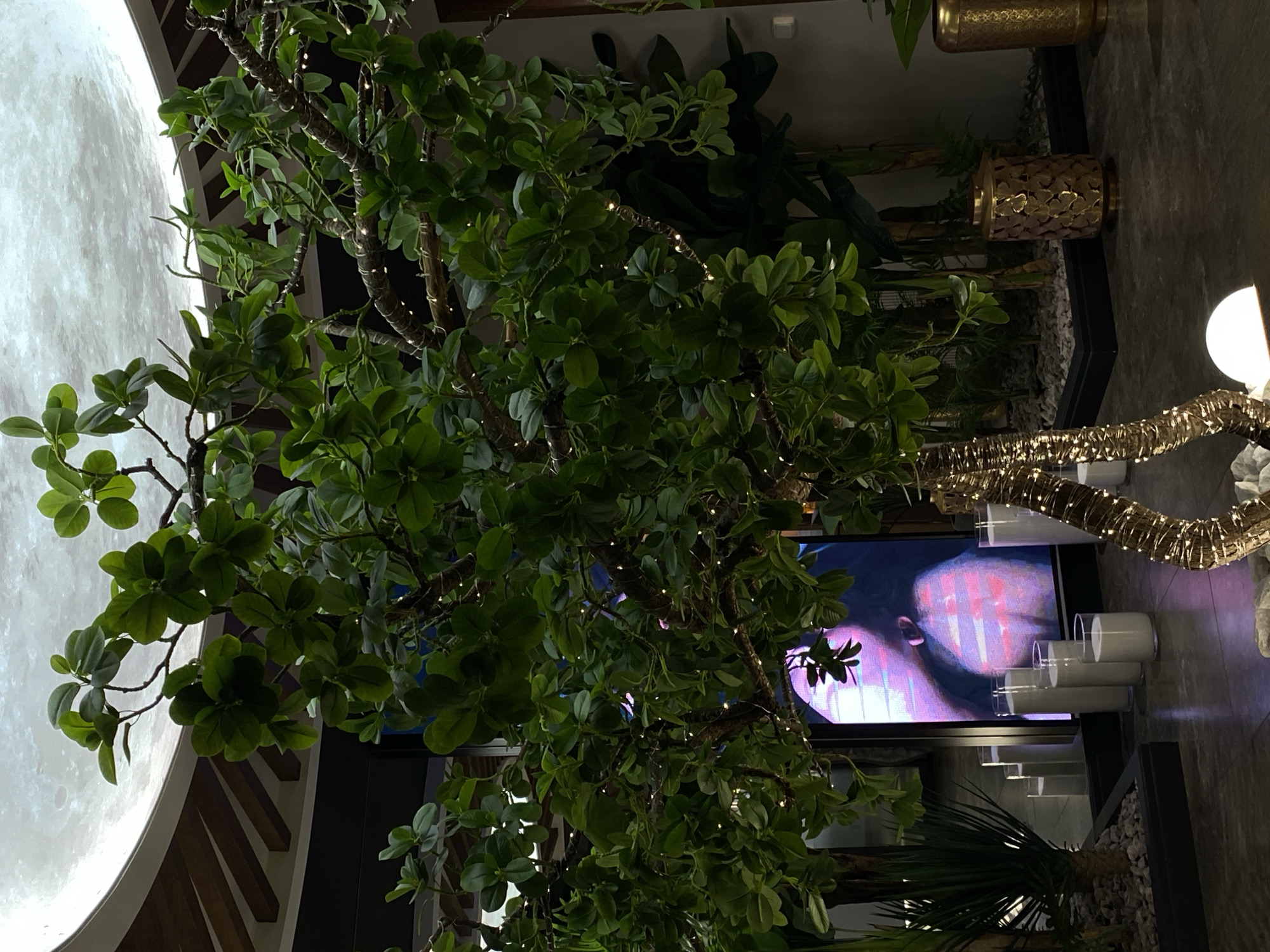 The image shows an indoor scene with a large artificial tree decorated with small lights as a prominent feature. To the left, a large, illuminated circular object resembling a moon is visible. In the background, there's a screen displaying an image of a person's face with heavy digital manipulation, suggesting an artistic or commercial display. Various plants and decorative vases add to the interior design. The environment suggests a modern and stylized interior, possibly a restaurant or a commercial space designed with aesthetic appeal. There's no explicit information to confirm the exact location in Votkinsk, Russia.