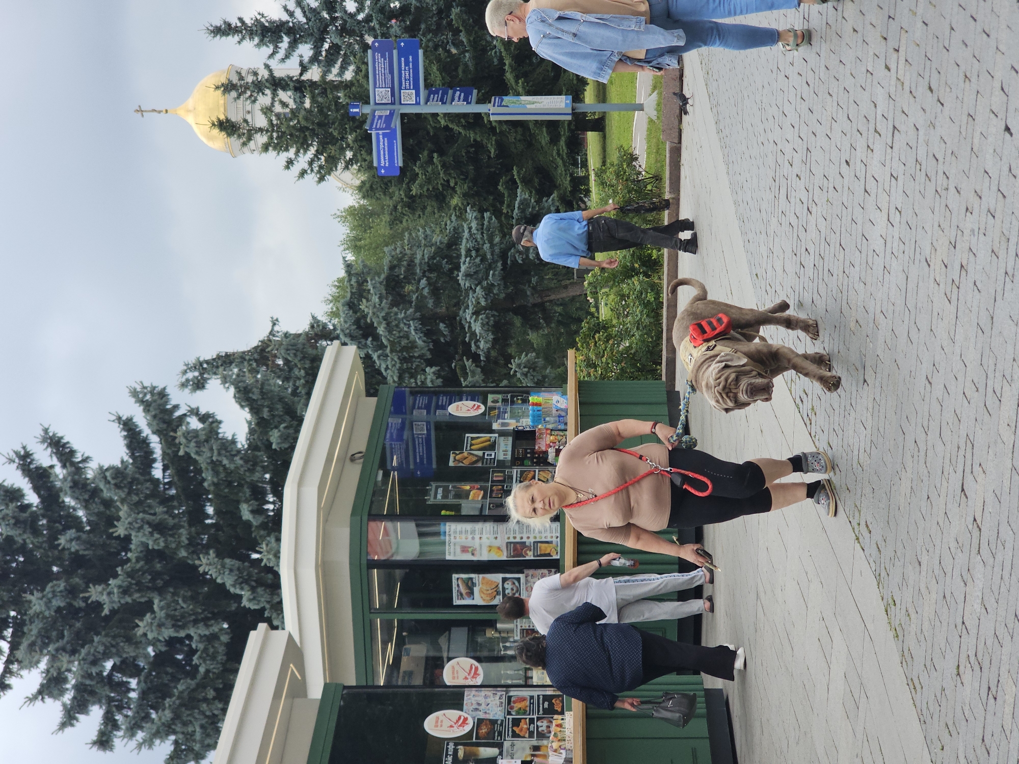 A woman is walking a large, gray dog on a leash on a cobblestone path in a park. The dog is wearing a vest with red stripes. In the background, there is a green kiosk with advertisements displayed. Behind the kiosk, there are tall evergreen trees and a golden-domed building, which appears to be a church. A signpost with directional arrows is also visible. Other people are walking in the park, including a man in a blue shirt and a woman in a denim jacket. The sky is overcast. The scene is likely in Moscow, Russia, given the presence of Russian signage and the architectural style of the church.