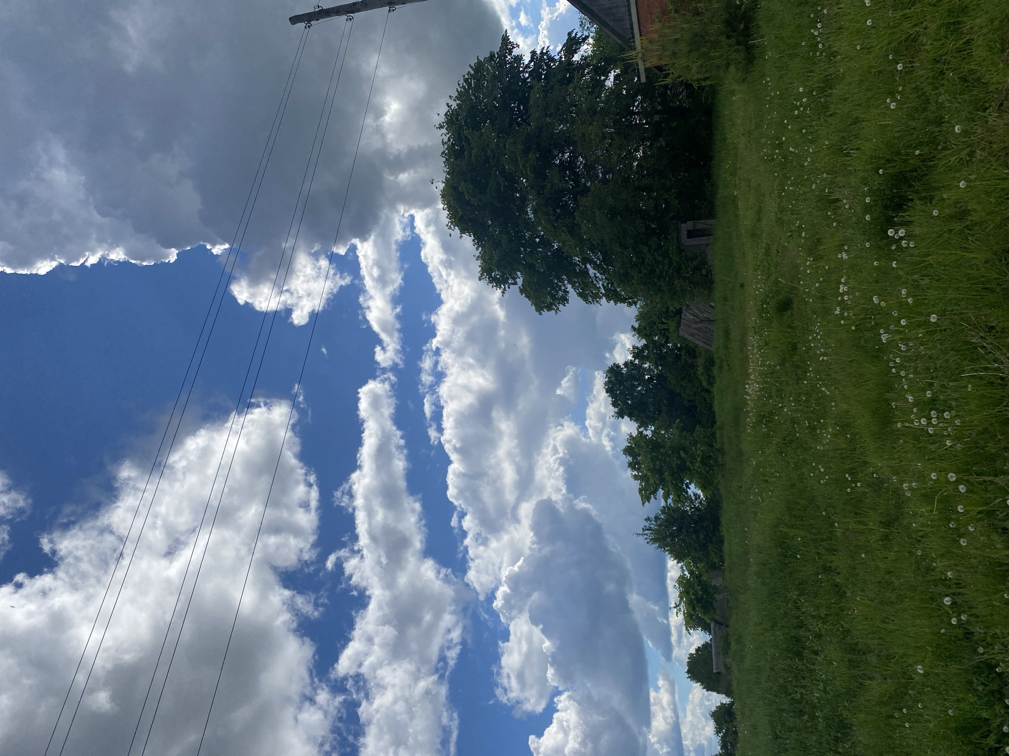 The image shows a field of green grass with scattered white flowers, bordered by trees. Above the trees, there are dynamic clouds in a blue sky, with power lines running across the upper left portion of the frame. A glimpse of a building roof appears on the upper right. The location in the city of Puzhmes'-Tuklya, Russia, is speculative, as there is nothing in the image to confirm this.