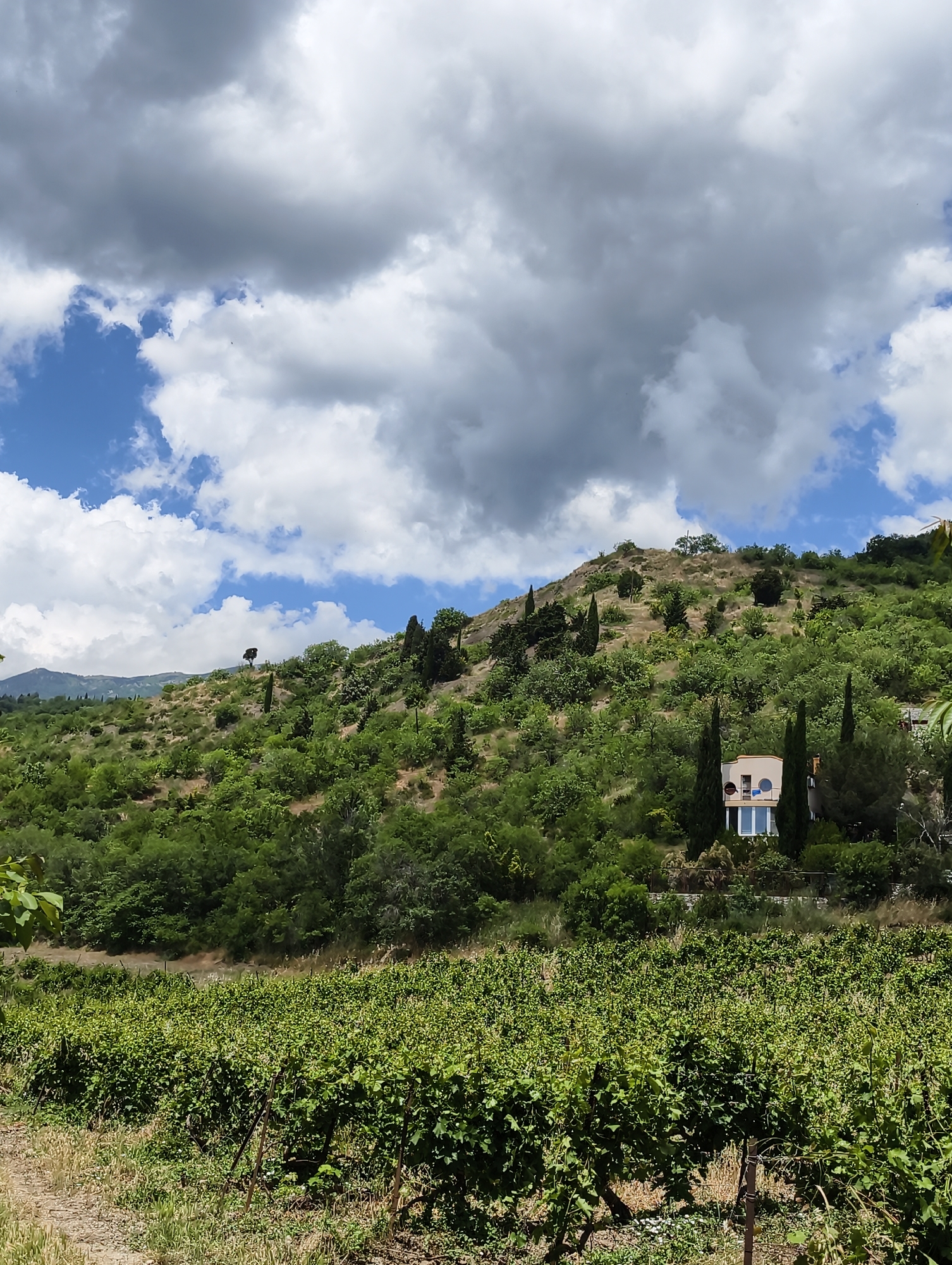 This is a full shot photograph of a vineyard and a hillside with a house in Utios, Ukraine. The vineyard is in the foreground, with lush green vines stretching across the frame. The hillside is covered in dense green foliage and trees, with a single solitary tree on the upper slope. A modern house with a light-colored facade and blue-trimmed windows is nestled into the hillside amidst the trees. The sky above is a mix of blue sky and dramatic white and gray clouds. The overall scene depicts a scenic rural landscape in Utios.