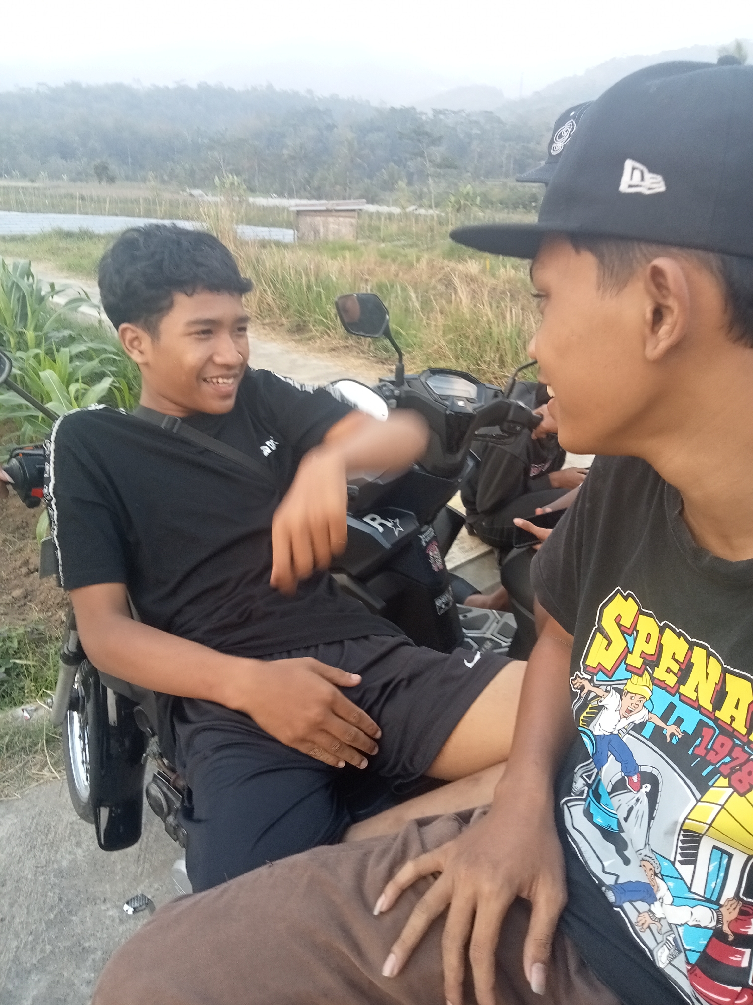 Memory