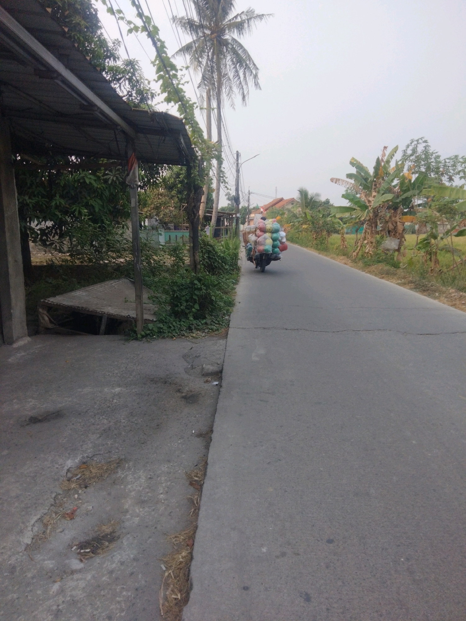 A motorcycle is carrying a large load of bundled items, possibly agricultural products like coconuts, wrapped in plastic bags, down a paved road. The motorcycle is being ridden by a person. The scene appears to be in a rural or semi-rural area of Suka Sari, Indonesia. On the left side of the road, there is a covered structure with a corrugated metal roof supported by pillars, adjacent to overgrown vegetation and a broken, tarp-covered structure on the ground. Palm trees and other greenery are visible in the background, along with some houses with tiled roofs. The sky is overcast. The road surface is asphalt with some cracks and debris.