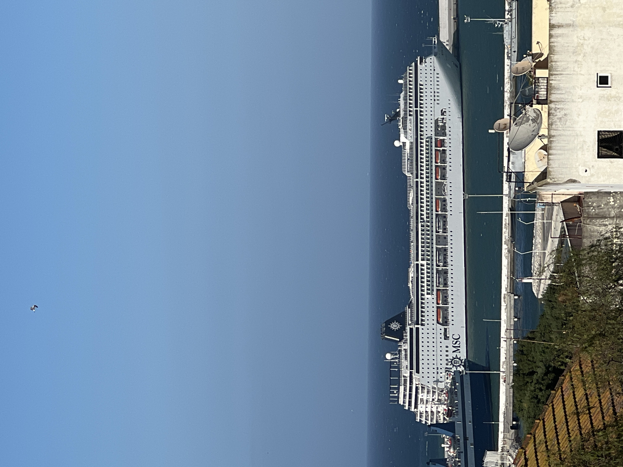 The image displays an elevated view of the Port of Tanger (طنجة), Morocco, under a clear, bright blue sky. A large, white-hulled cruise ship, identified by the "MSC" logo on its side and "MSC OPERA" on its stern, dominates the mid-ground. The vessel is multi-decked, featuring rows of portholes, numerous orange lifeboats along its side, and a black funnel adorned with a starburst emblem. It appears to be docked or maneuvering within the harbor. To the left of the cruise ship, a darker-hulled vessel, possibly a ferry or cargo ship, is partially visible. The sea water in the harbor is a deep blue-green and appears calm.
In the immediate foreground, architectural elements are visible. On the left, a section of a terracotta-tiled rooftop is partially obscured by green foliage. On the right, a flat, light-colored concrete rooftop features multiple grey satellite dishes and other antenna structures. Below this rooftop, a section of a weathered concrete building wall with a dark window and a small square opening is visible. A concrete pier or breakwater structure runs horizontally between the foreground buildings and the ships. A single bird is visible in flight in the upper left quadrant of the sky. No human figures are discernible.