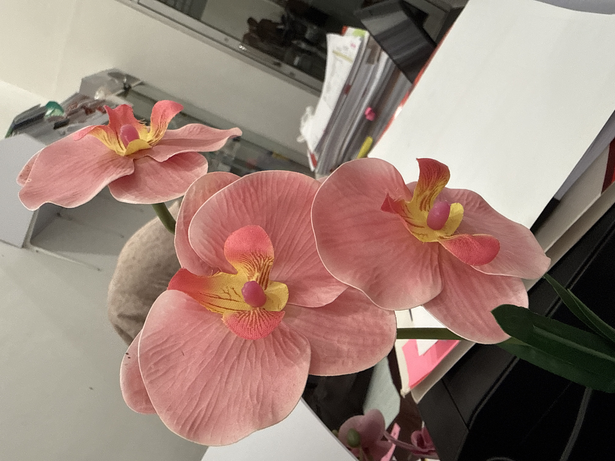 The image shows a close-up of a light pink artificial orchid arrangement. Three fully bloomed flowers are visible, each with a yellow and pink center. The flowers are arranged in front of a cluttered background that includes a reflective surface, possibly a shelf or countertop. There are stacks of papers and files behind the orchids. The scene is indoors, and the lighting appears to be artificial. The image does not provide any information about the location being in Lhokseumawe, Indonesia.