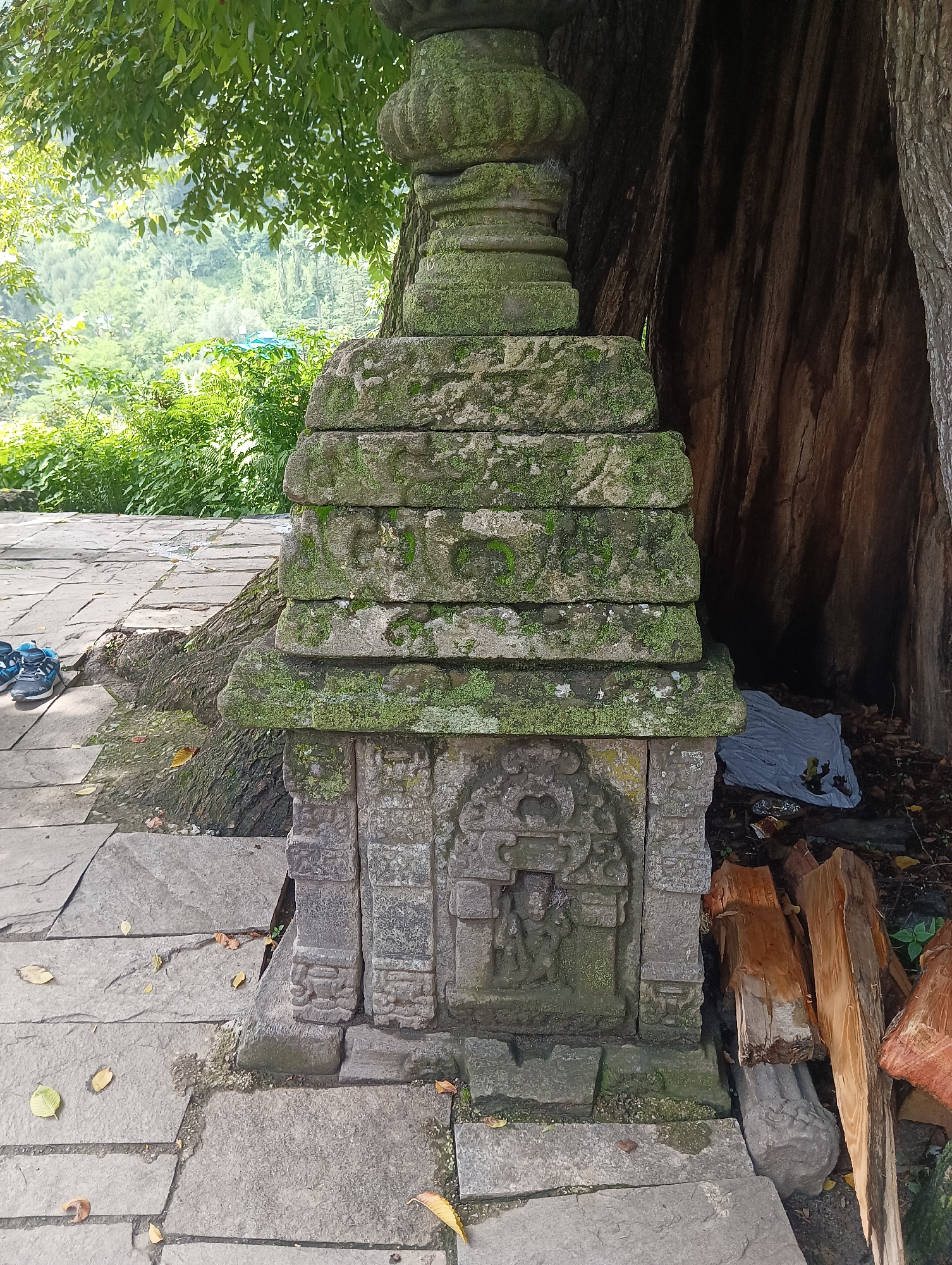 The image depicts an ancient stone structure, possibly a stupa or shrine, covered in moss. The structure is tiered, with carved details at its base. It is situated outdoors next to a large tree with a rough, textured bark. The surrounding ground is paved with stone slabs, and fallen leaves are scattered on the ground. In the background, lush green foliage and trees are visible, suggesting a natural setting. To the right of the stone structure, several pieces of chopped wood and a gray plastic bag are placed on the ground. A pair of blue and black athletic shoes rests on the stone paving to the left of the structure. The image is taken in natural light, casting shadows that highlight the textures of the stone and wood. The precise location in the city of Gojra, India, cannot be determined from the visual information provided in the image.