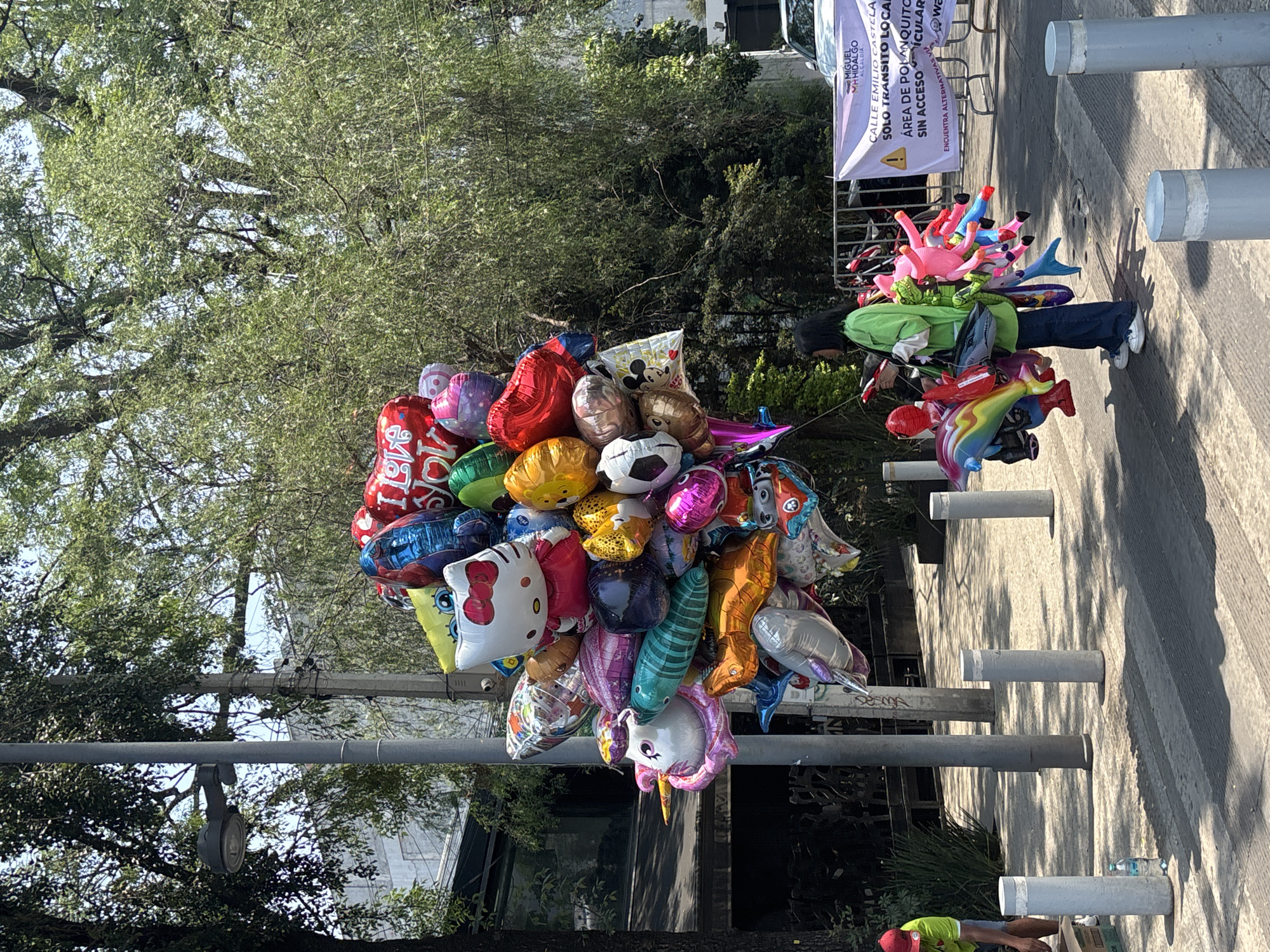 The image depicts a scene on a city street in Mexico City, Mexico. Dominating the frame is a large cluster of helium balloons, likely held by a vendor. The balloons are of various shapes, sizes, and colors, including recognizable characters like Hello Kitty and a soccer ball design.
Behind the balloons is a tree with light green leaves, suggesting it may be springtime. A utility pole is also visible behind the balloons. To the right, a person in a green jacket and jeans is carrying more balloons shaped like dolphins.
A sign is visible in the background, identifying the location as Calle Emilio Castelar in Polanquito. The sign indicates that the area has restricted traffic, accessible only to local traffic.
The street appears to be paved and well-maintained, with grey bollards lining the sidewalk. The image is shot in daylight, with bright sunlight casting shadows on the ground. A person in a red hat is seen working near the bollards in the bottom right corner.