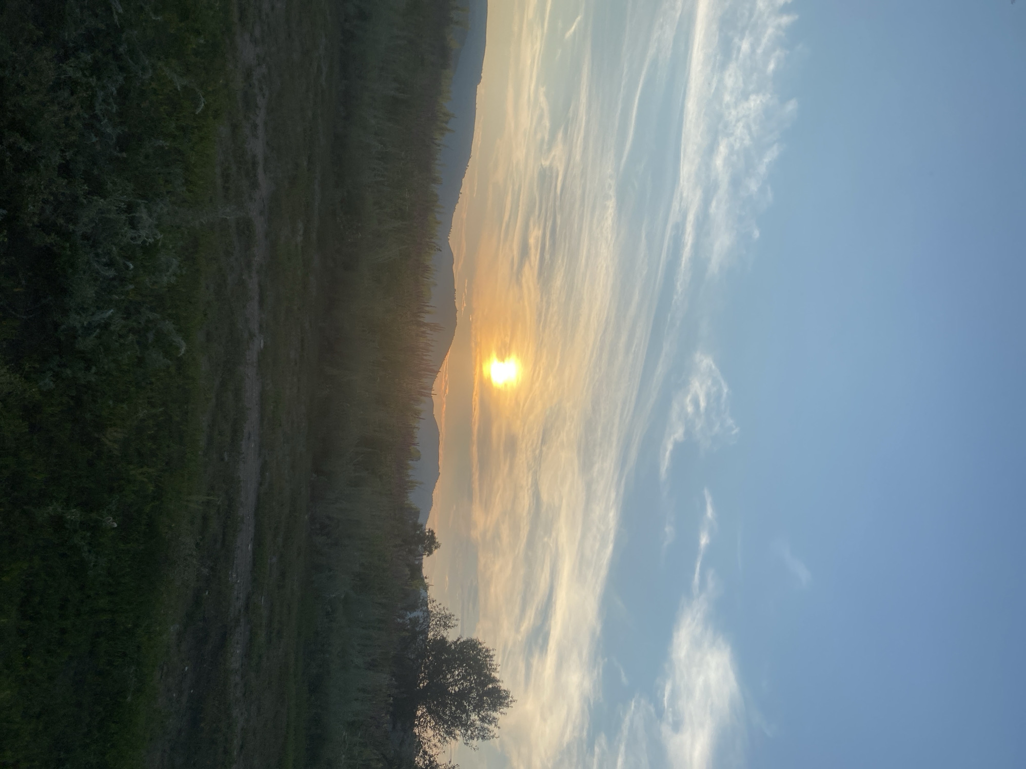 The image depicts a natural landscape at sunset with a clear sky filled with wispy clouds. The sun is visible as a bright orb near the horizon, casting a warm glow. In the foreground, there is a field of tall grass and vegetation, with a dirt path running through it. In the distance, rolling hills are silhouetted against the sky, and a lone tree stands prominently on the right side of the frame. The overall impression is one of tranquility and natural beauty. The location is the city of Bol'shearslangulovo, Russia.