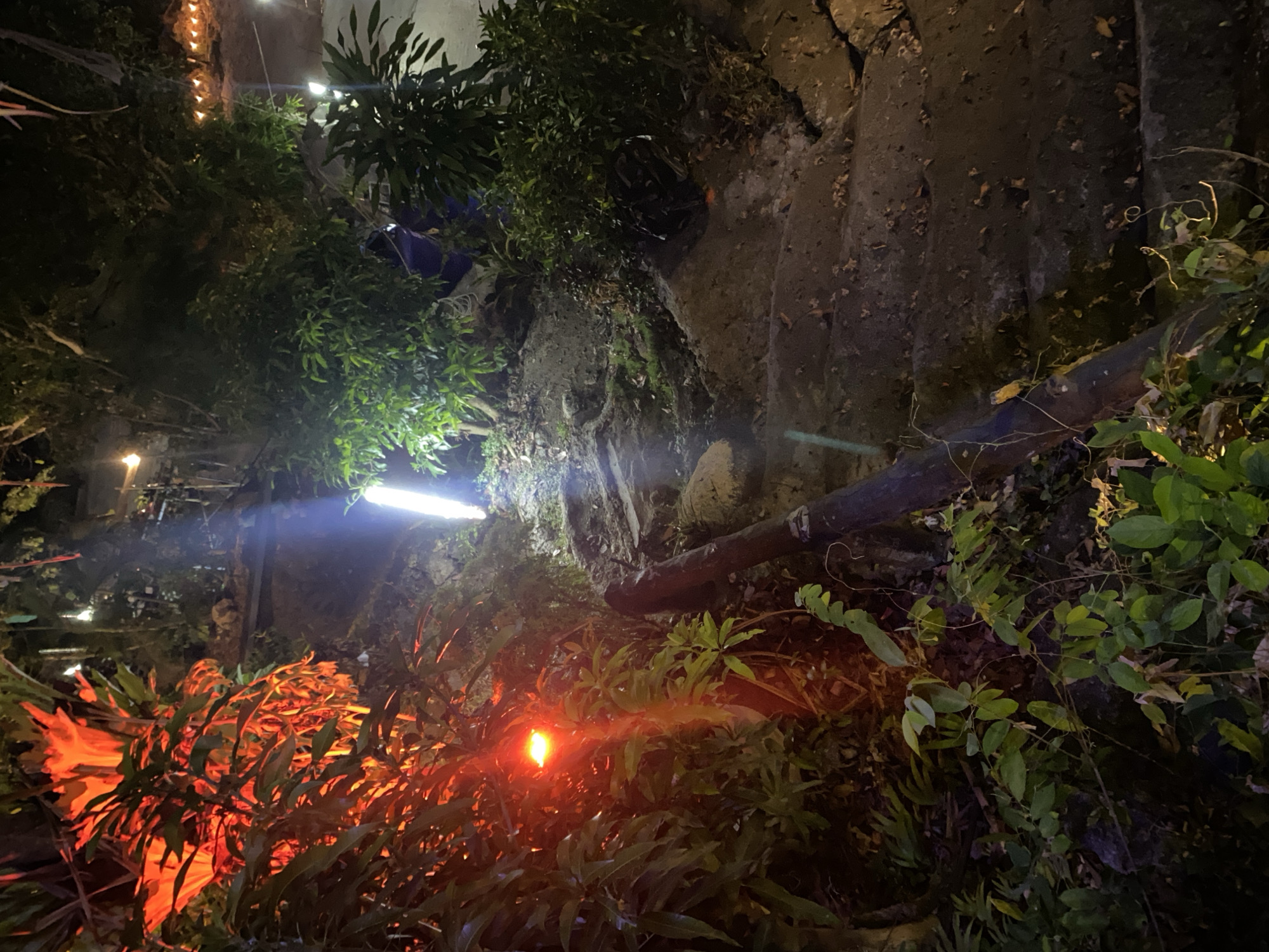 The image, taken at night in Baan Don Sai, Thailand, shows a terraced landscape overgrown with vegetation. A bright, white light illuminates the upper terrace, highlighting a rough, rocky wall covered in moss and foliage. A large, dark pipe or tree trunk runs horizontally across the middle ground, partially obscured by green plants. In the foreground, reddish-orange plants glow, likely illuminated by another light source. The overall impression is of a natural, untamed environment integrated into the urban landscape. There is no indication of people in the immediate frame.
