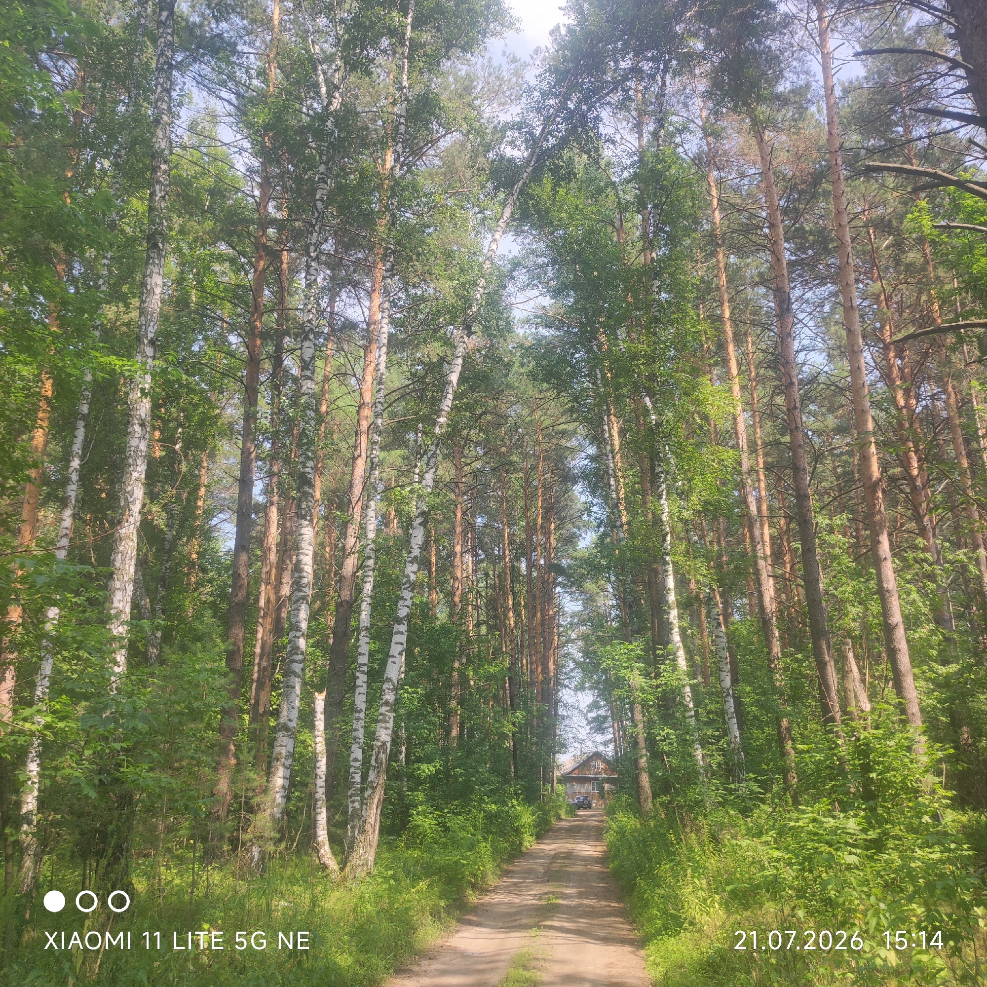 The image depicts a dirt road winding through a dense forest of birch and pine trees in the city of Баюновские Ключи, Russia. The sun is shining, casting dappled light on the path and the surrounding greenery. The trees are tall and slender, with their leaves forming a thick canopy overhead. The road is flanked by lush vegetation, including tall grasses and bushes. In the distance, a small wooden house with a dark-colored car parked in front of it is visible. The image also features watermarks at the bottom left and right corners, indicating "XIAOMI 11 LITE 5G NE" and the date "21.07.2026 15:14". There are no people visible in the image.
