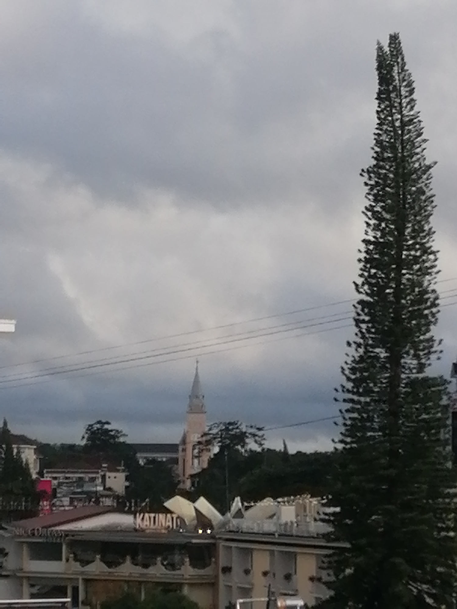 The image depicts a view of Da Lat city, Vietnam, under a cloudy sky. A tall, slender pine tree dominates the right side of the frame, its dense foliage reaching towards the sky. In the background, a pale pink church steeple pierces the clouds, suggesting a religious structure within the urban landscape. Several buildings, some appearing to be hotels or commercial establishments, are visible in the mid-ground, with signage such as "KATINAT" faintly discernible on one. Power lines crisscross the sky, indicating the presence of infrastructure. The overall atmosphere is somewhat somber due to the overcast conditions.