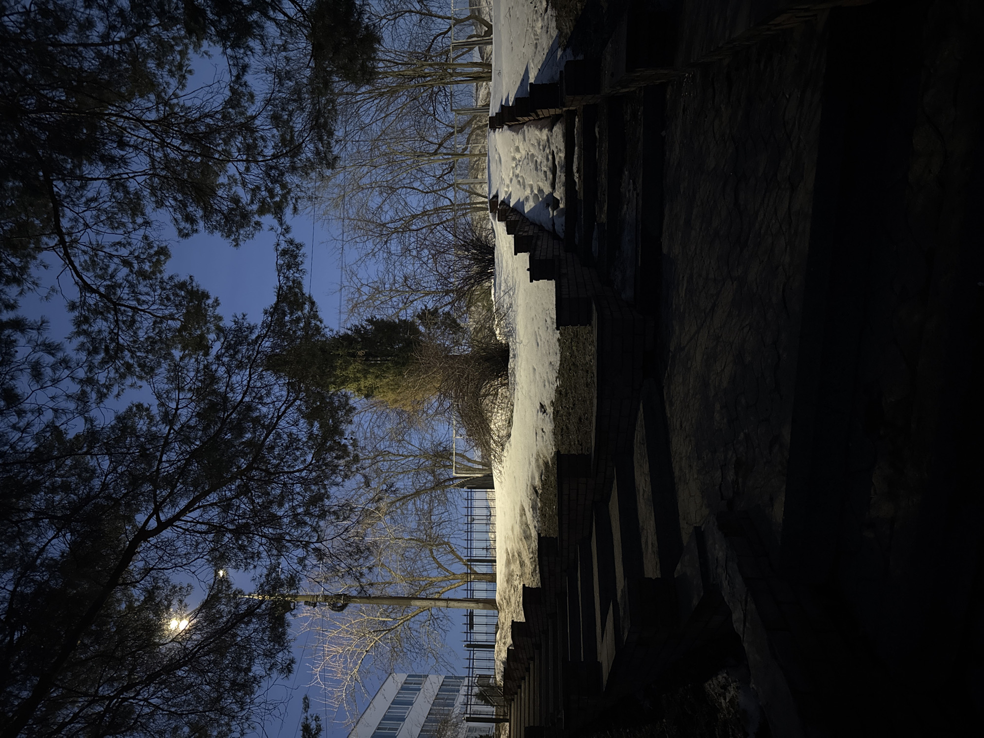The image depicts an outdoor scene at dusk in Chaikovsky, Russia, featuring a stone staircase partially covered in snow. To the left of the stairs, bare trees reach towards the blue sky, with a streetlight visible among the branches. A building is partially visible in the background. A snow-covered area stretches out to the right of the stairs, bordered by a metal fence. The foreground and right side of the image are dominated by the dark, shadowed area surrounding the staircase.