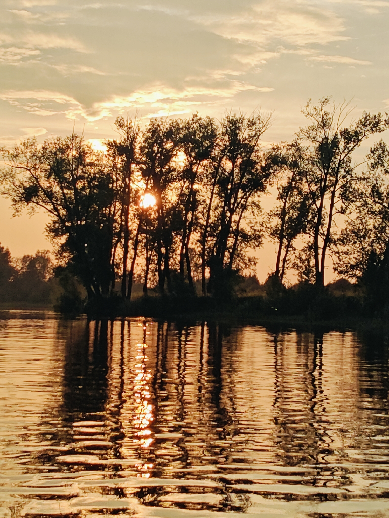 A photograph captures a serene natural landscape at sunset. The image features a body of water in the foreground, reflecting the warm, golden hues of the setting sun. The water surface is rippled, creating distorted yet beautiful reflections of the trees that line the distant shore.
Behind the water, a row of silhouetted trees stands against the vibrant sky. The sun, partially obscured by the foliage, casts a warm glow through the branches, creating a dappled light effect. The sky above is a canvas of soft oranges and yellows, with wispy clouds adding texture and depth to the scene.
The overall impression is one of tranquility and natural beauty, characteristic of a peaceful evening by the water. The image does not contain any people, animals, or man-made structures. The scene is likely a natural or park-like area.