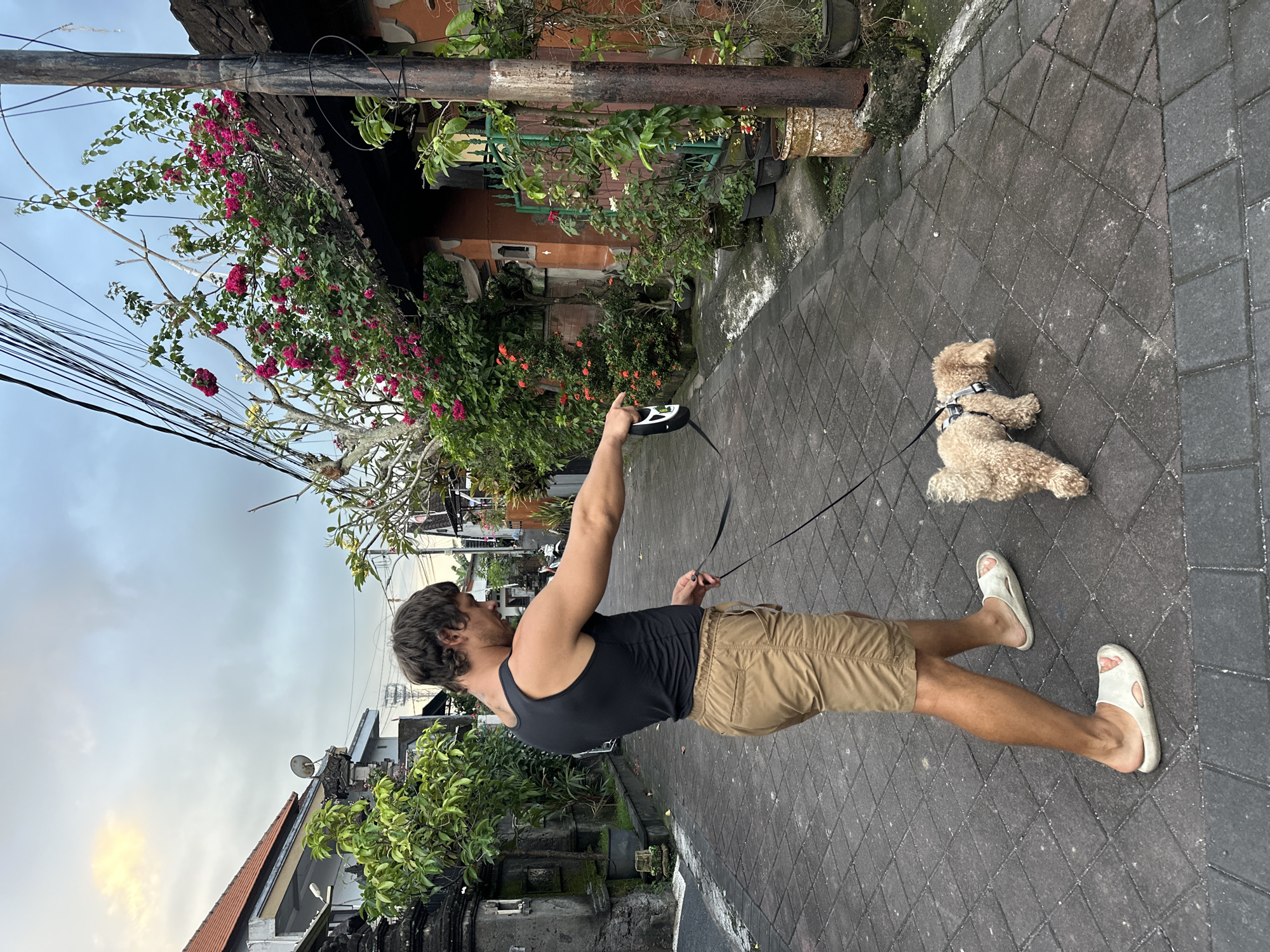 A man in a black tank top and khaki shorts stands on a brick-paved street in North Kuta, Indonesia, holding a black leash attached to a small, light-brown dog with curly fur. The dog is wearing a grey harness and is stationary on the pavement. The man is looking away from the camera and toward the dog. The background includes traditional Indonesian architecture with stone carvings and lush vegetation, including bougainvillea vines. Utility poles with power lines are visible overhead, and the sky is overcast.