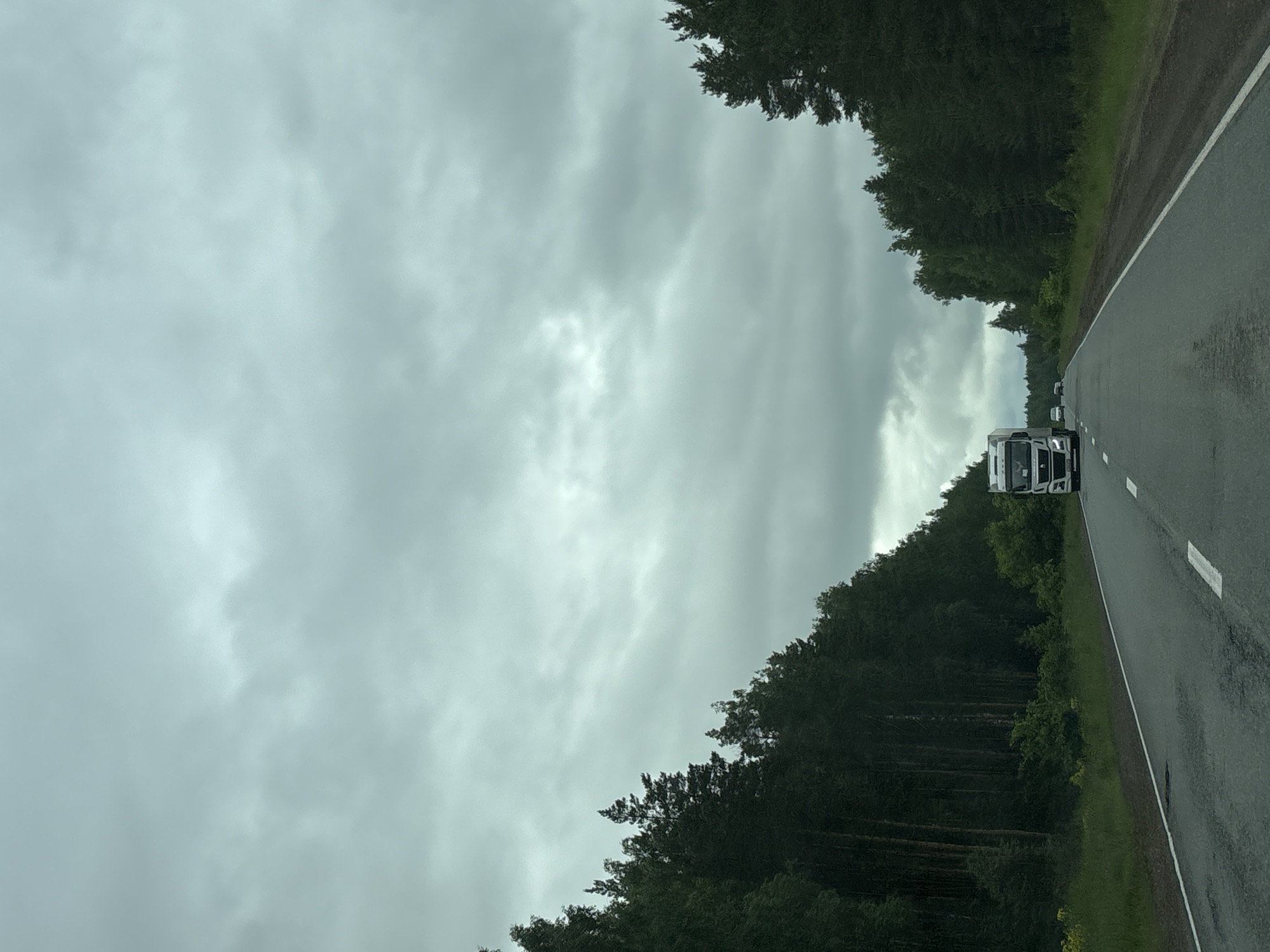 The image displays a two-lane asphalt road cutting through a dense coniferous forest under a heavily overcast, grey sky, located in the vicinity of Novyi, Russia. The road extends straight into the distance, with visible white solid and dashed lane markings. A white MAN semi-trailer truck is prominent in the foreground, traveling away from the viewer in the right lane. Several smaller, indistinct vehicles follow the truck further down the road. Both sides of the road are bordered by a strip of green grass and some low-lying vegetation, including sparse yellow wildflowers visible on the left, leading into the dark green, tall forest. The sky is a uniform expanse of dull, light grey clouds, suggesting an overcast day. No people or man-made structures other than the road and vehicles are visible. The asphalt appears dark, possibly damp.