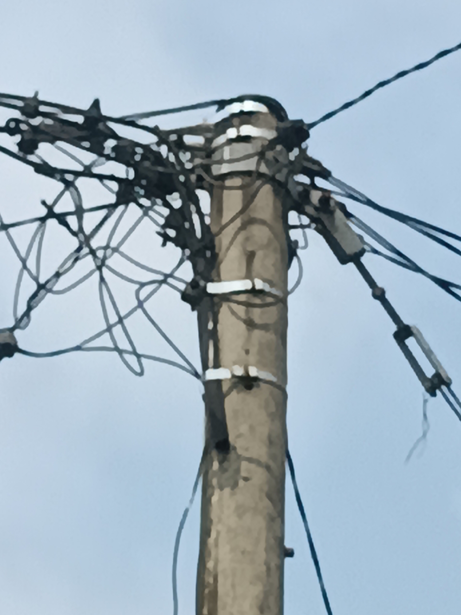 The image shows a close-up, low-angle shot of a telephone pole and its intricate network of wires against a pale blue sky. The pole itself is made of concrete and appears weathered, with horizontal white insulators attached at various points to support the wires. The wires are numerous, tangled, and crisscross the frame in a complex web. Some wires are thicker and appear to be primary distribution lines, while others are thinner and possibly for telecommunication. There are also metal brackets and tensioning devices visible, suggesting the poles are part of a larger infrastructure. The overall impression is one of a functional but somewhat disorganized arrangement of essential utility lines. The context of Ploso, Indonesia, suggests this is a common sight in urban or semi-urban areas of the region, where overhead electrical and telecommunication infrastructure is prevalent.