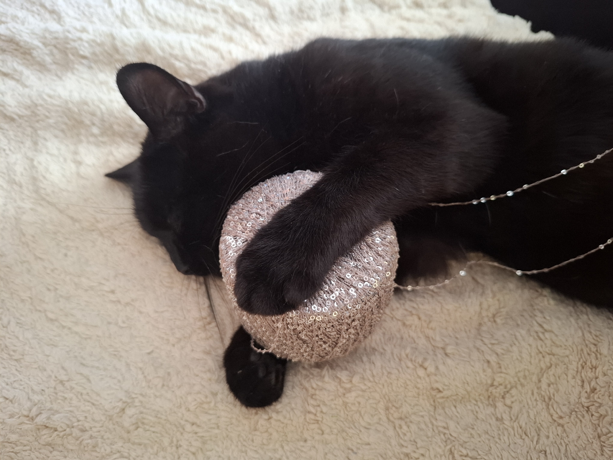 A black cat is sleeping on a soft, textured blanket, clutching a sequined ball. The cat's head rests on the ball, with one paw curled around it. A string of small beads is draped nearby on the blanket. The specific location of Khlevnoye, Russia is not identifiable within the image.