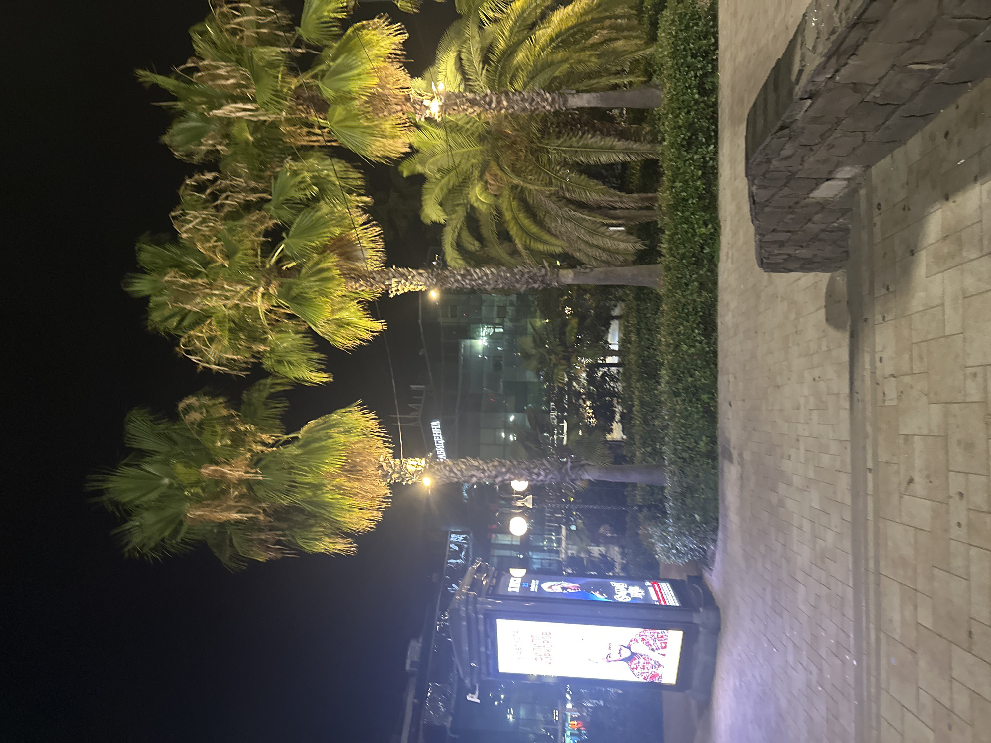 At night in Sochi, Russia, a paved walkway leads through a plaza featuring several palm trees illuminated by artificial lighting. In the foreground, a low stone wall with visible mortar lines sits to the right. A brightly lit display case, advertising an event with images of performers, stands to the left of the walkway. Beyond the palm trees, a modern building with large windows and illuminated signage is visible. The sky above is dark and clear.