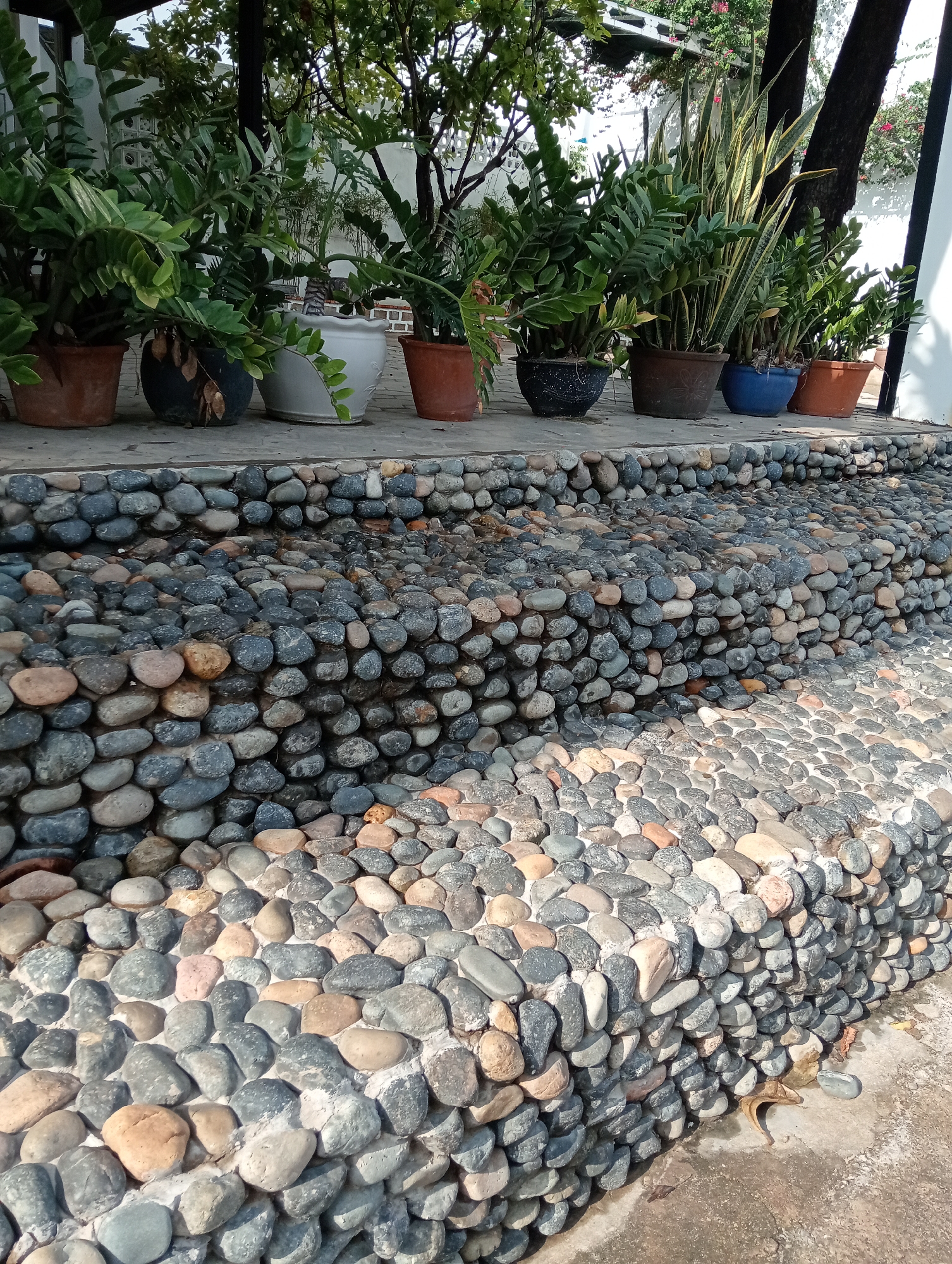 The image displays an outdoor garden or patio area characterized by a decorative pebble-covered structure and a variety of potted plants.
In the upper half of the frame, a line of potted plants sits on a concrete ledge. The plants include several lush green specimens resembling ZZ plants and some tall, variegated Sansevieria (snake plants). These are housed in a mix of pots, including classic terracotta, dark-colored plastic or ceramic, a white ceramic pot, and a bright blue pot, varying in size and style. Behind the plants, parts of trees with green foliage and white architectural elements, possibly walls or columns, are visible, suggesting a structured outdoor environment.
The lower half and foreground are dominated by a unique, multi-tiered structure crafted from numerous smooth, rounded river stones (pebbles) embedded in cement. These pebbles come in various natural colors, including shades of gray, black, brown, and lighter beige or reddish tones, creating a rich, textural mosaic pattern. The structure appears to be designed as decorative steps or a tiered garden bed, with distinct horizontal layers of stones. Sunlight illuminates the scene, casting subtle shadows that emphasize the texture and depth of the stone work. The ground level visible at the very bottom is concrete.
The time of day appears to be sunny daytime, indicated by the bright illumination and visible shadows. No people or visible text are present in the image. The scene suggests a well-maintained and aesthetically pleasing garden or landscape feature.